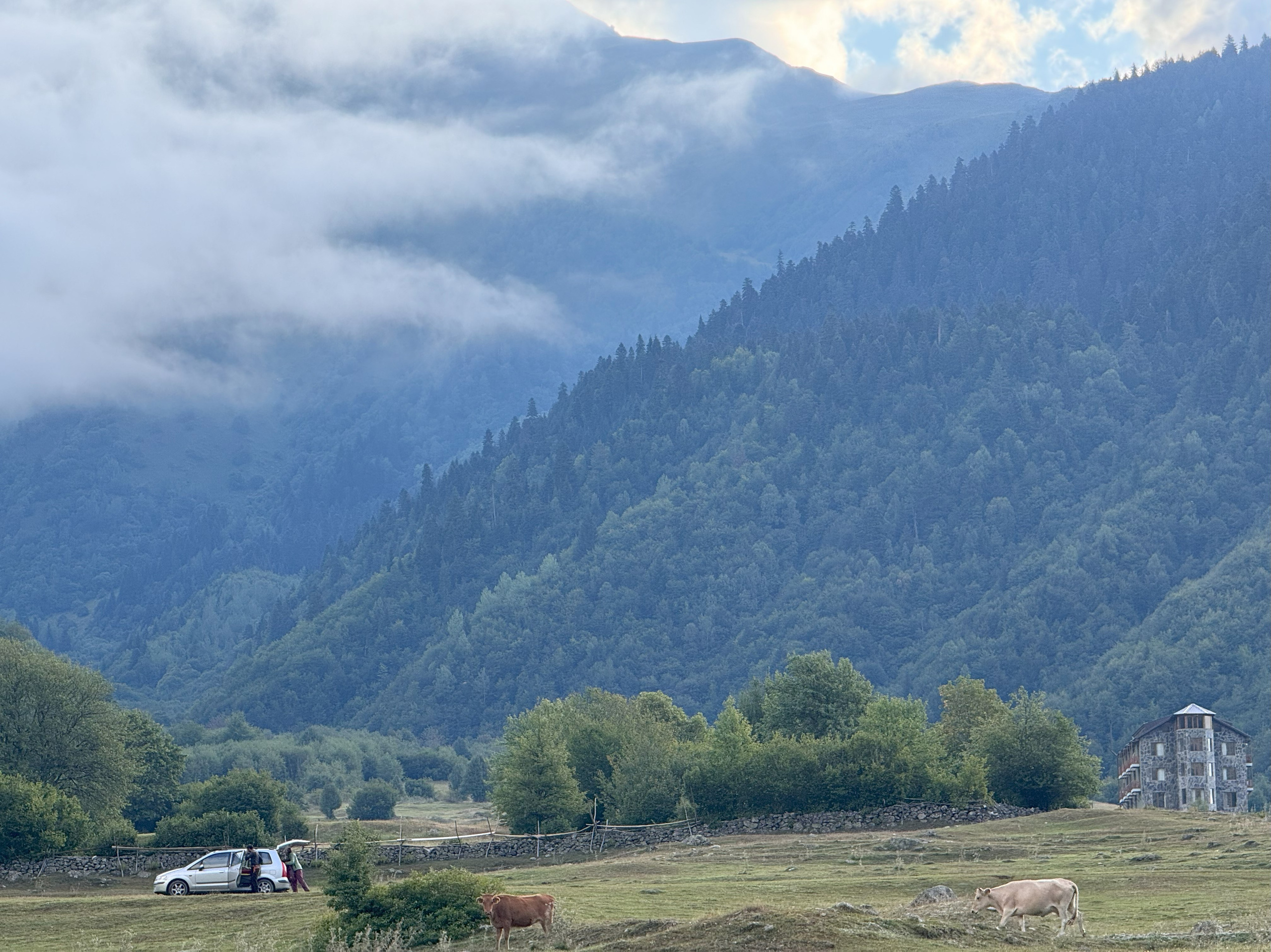 «Сердце гор» (2025). Художник живописец Савелова Ольга