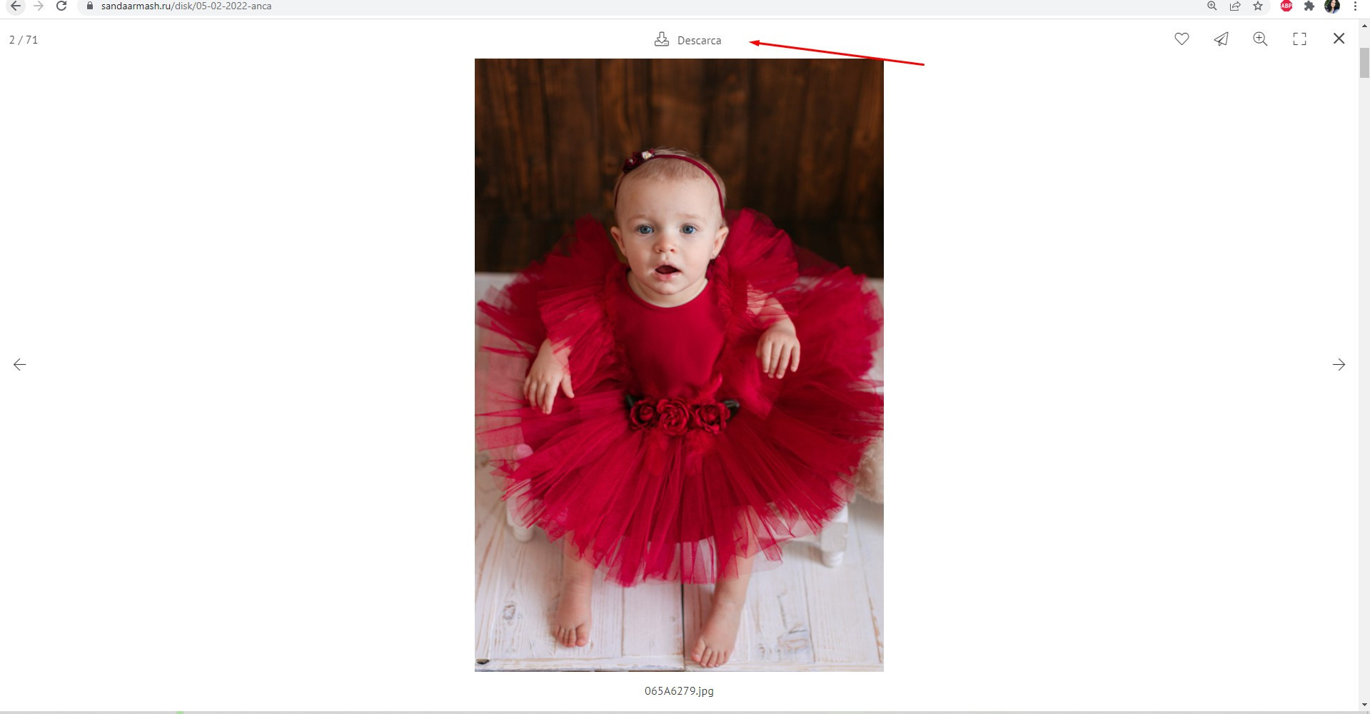 Cum se descarcă fotografiile?. Fotograf de familie și copii în Republica Moldova