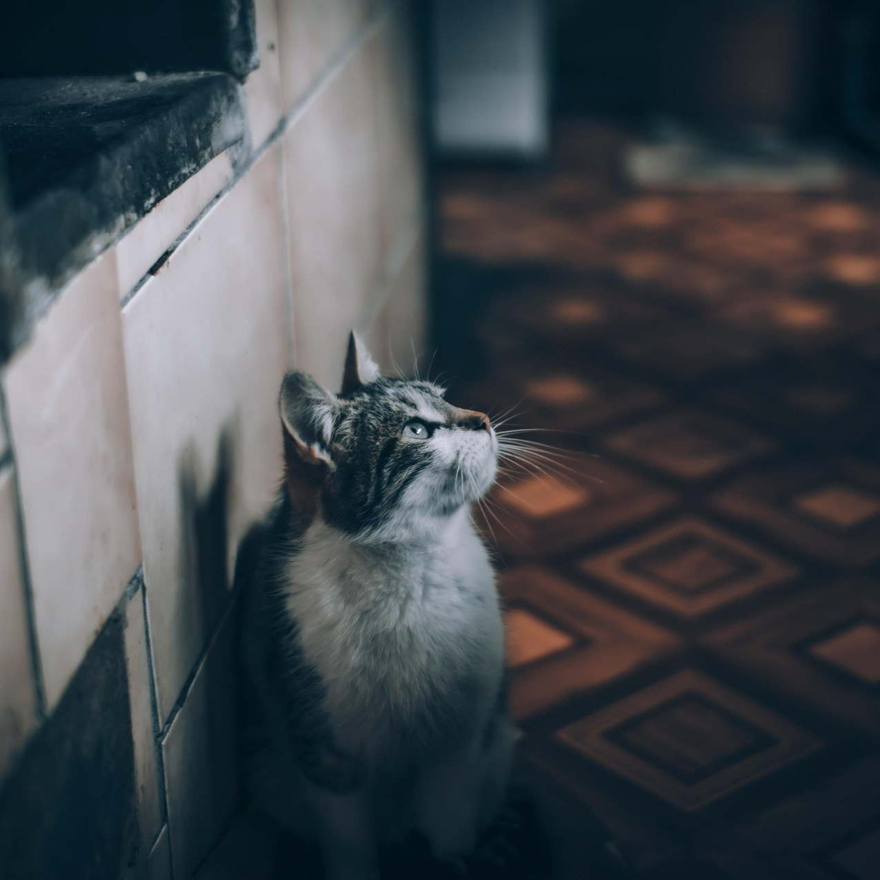 Documentary Family Storytelling. Cătălin Lazăr Photography — Fotografie de nuntă și evenimente premium în România și Europa