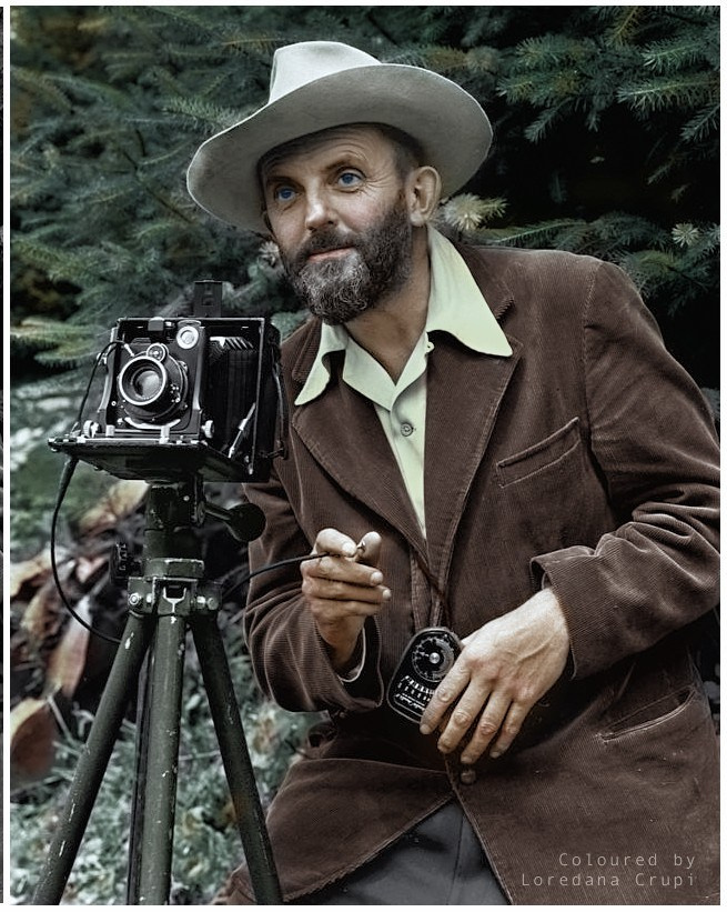 🟠Aforismi & Citazioni. “Gianmaria Coscia fotografo per passione”