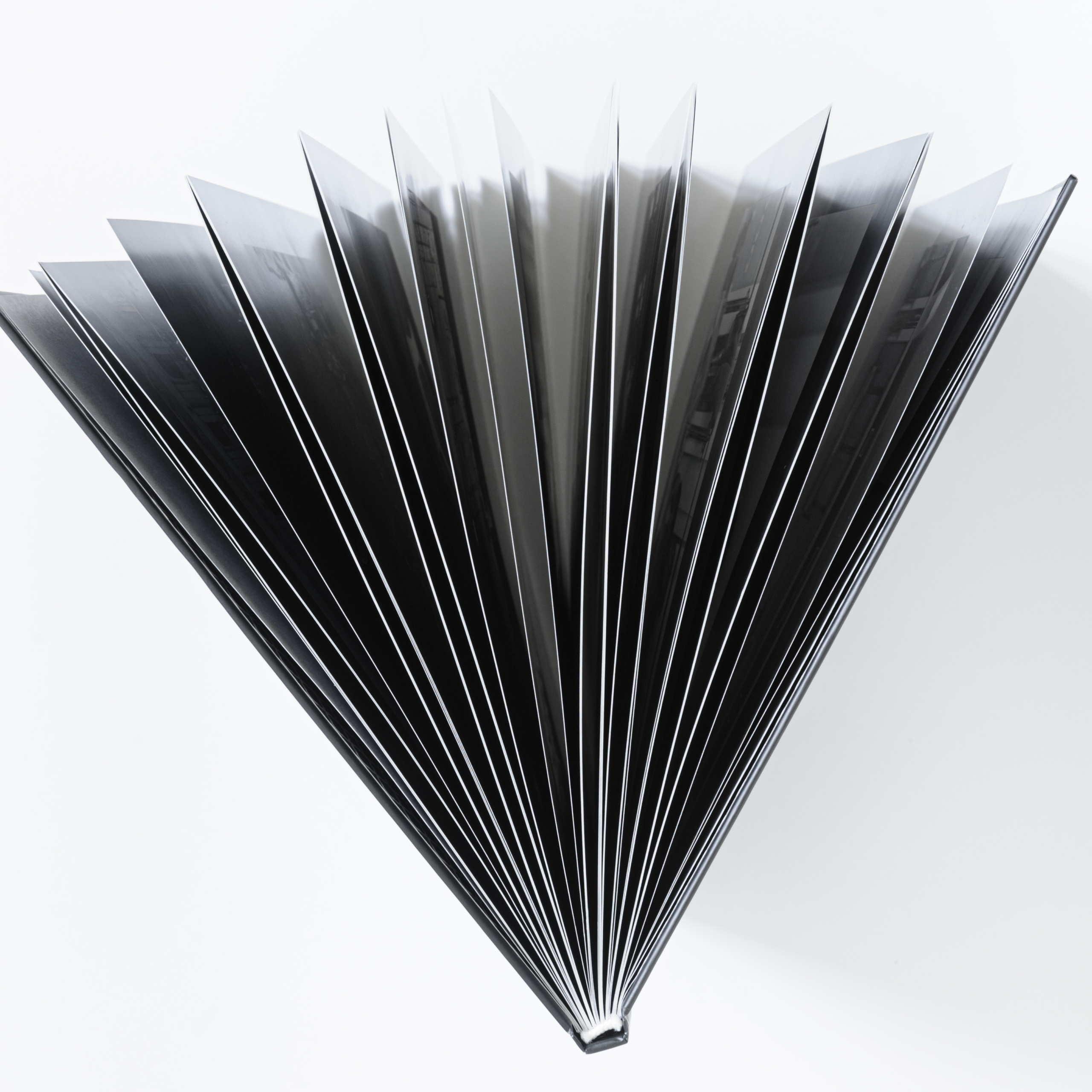 Ballet. Photo albums Moments of Valentin Elizariev