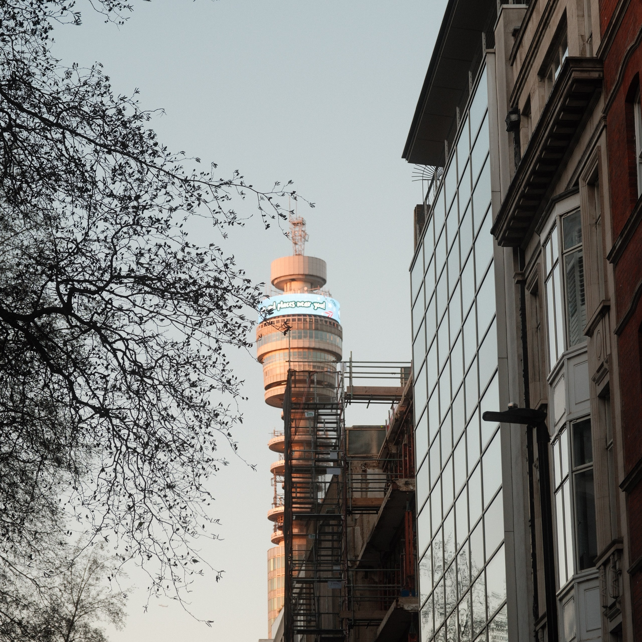 Reggie’s Portra. A Fujifilm Custom Recipe I Keep Coming Back To. Cal Takes Photos