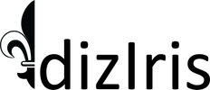 dizirisinterior.com