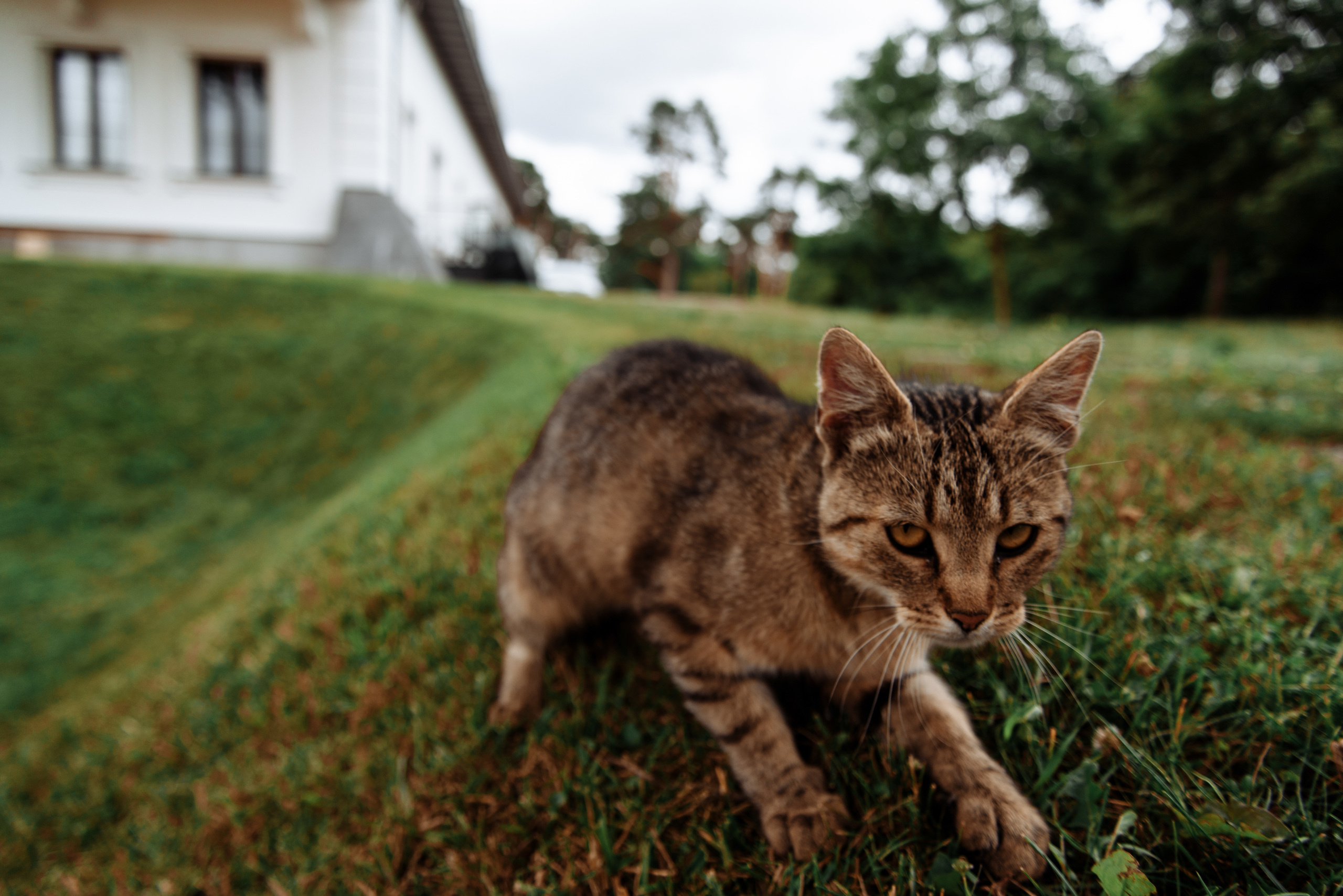 S & M. NK Picture - Fotograf Lublin, Warszawa