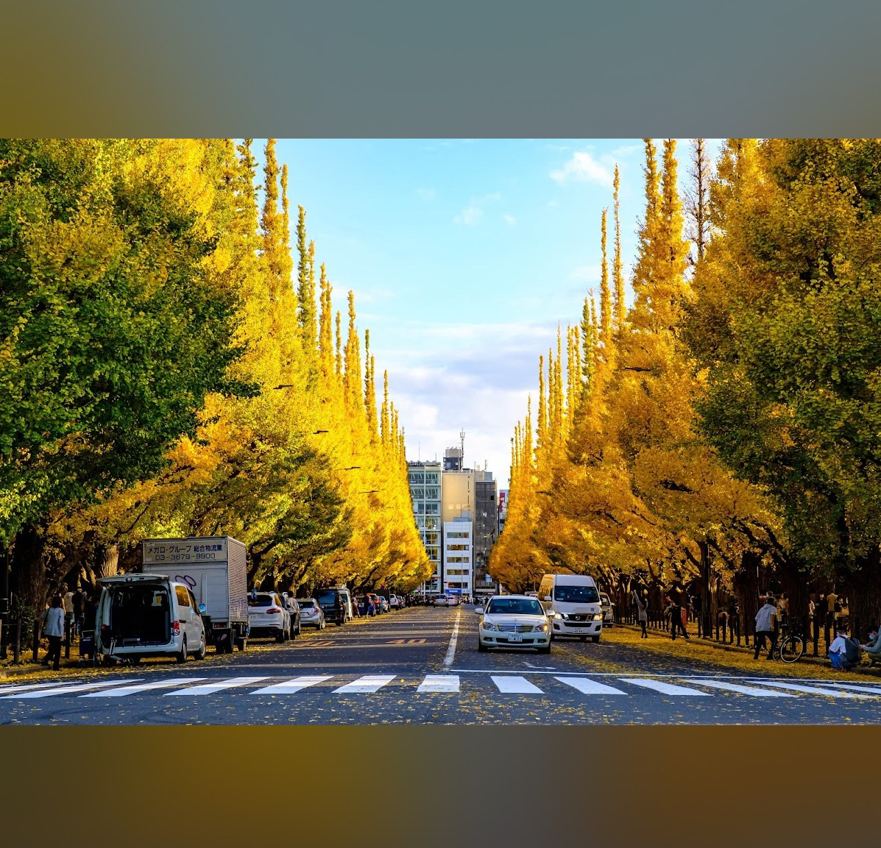 Фотодень. Photographer in Tokyo, Japan
