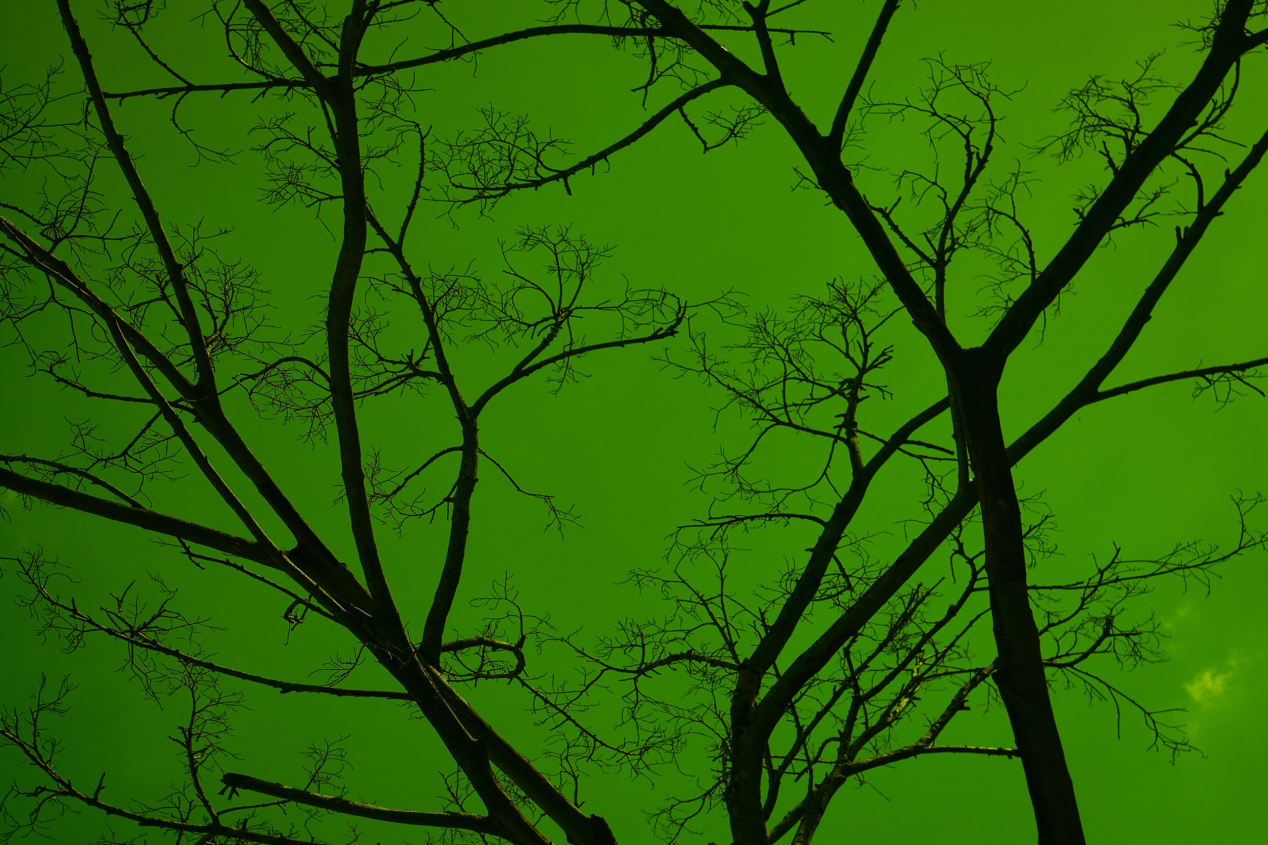 Echolith. Nature art photography by Petr Nabutov