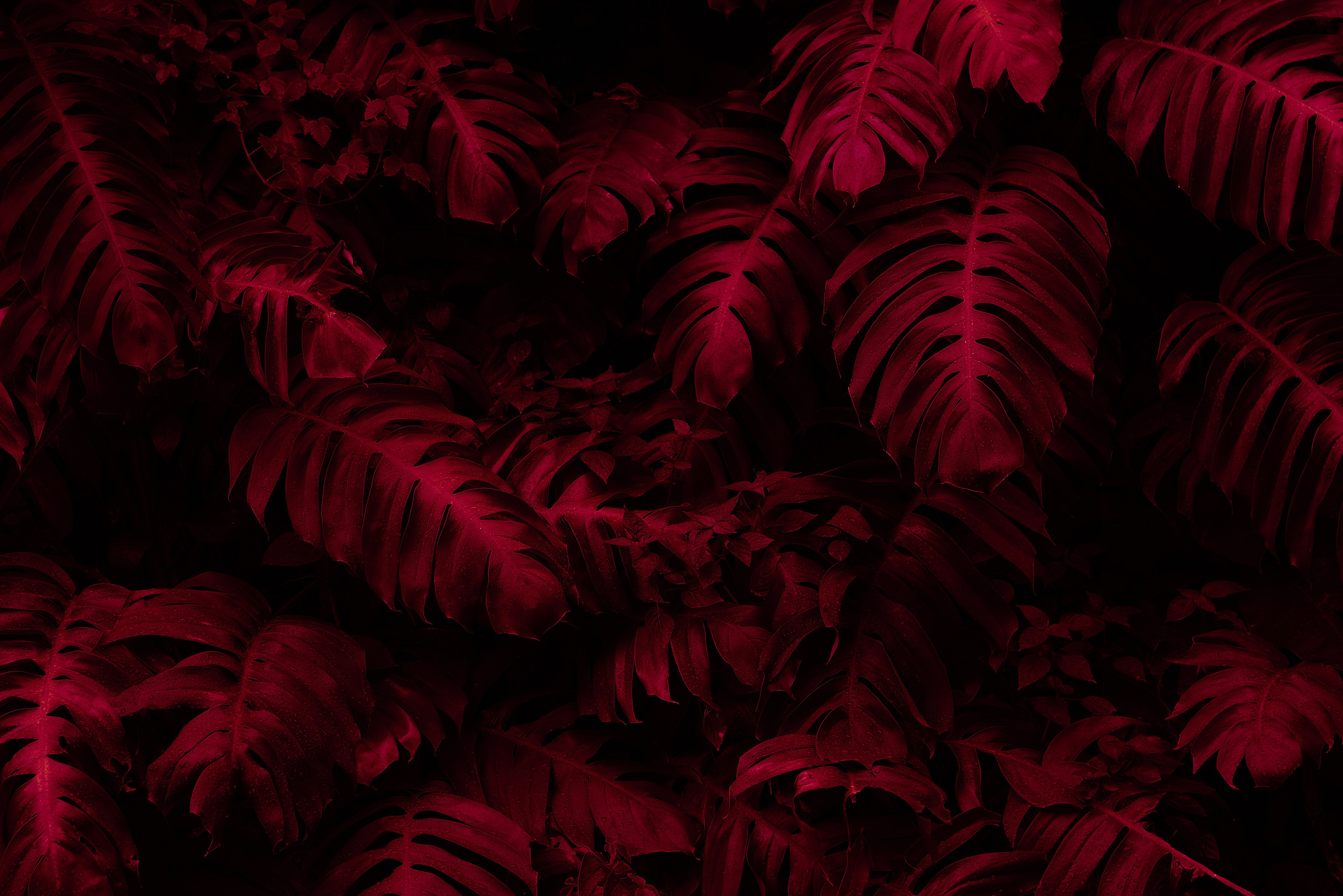 Echolith. Nature art photography by Petr Nabutov