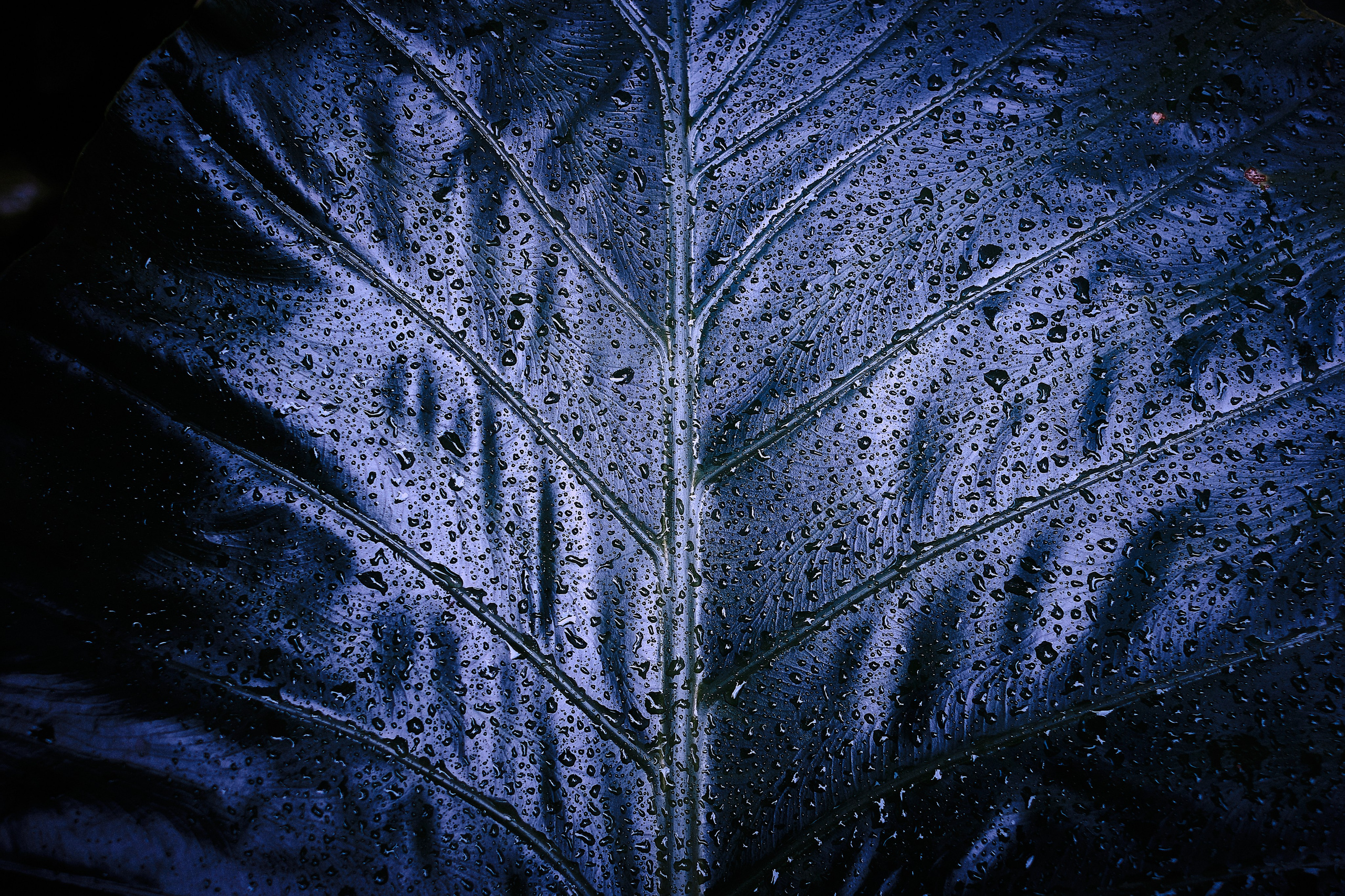 Echolith. Nature art photography by Petr Nabutov