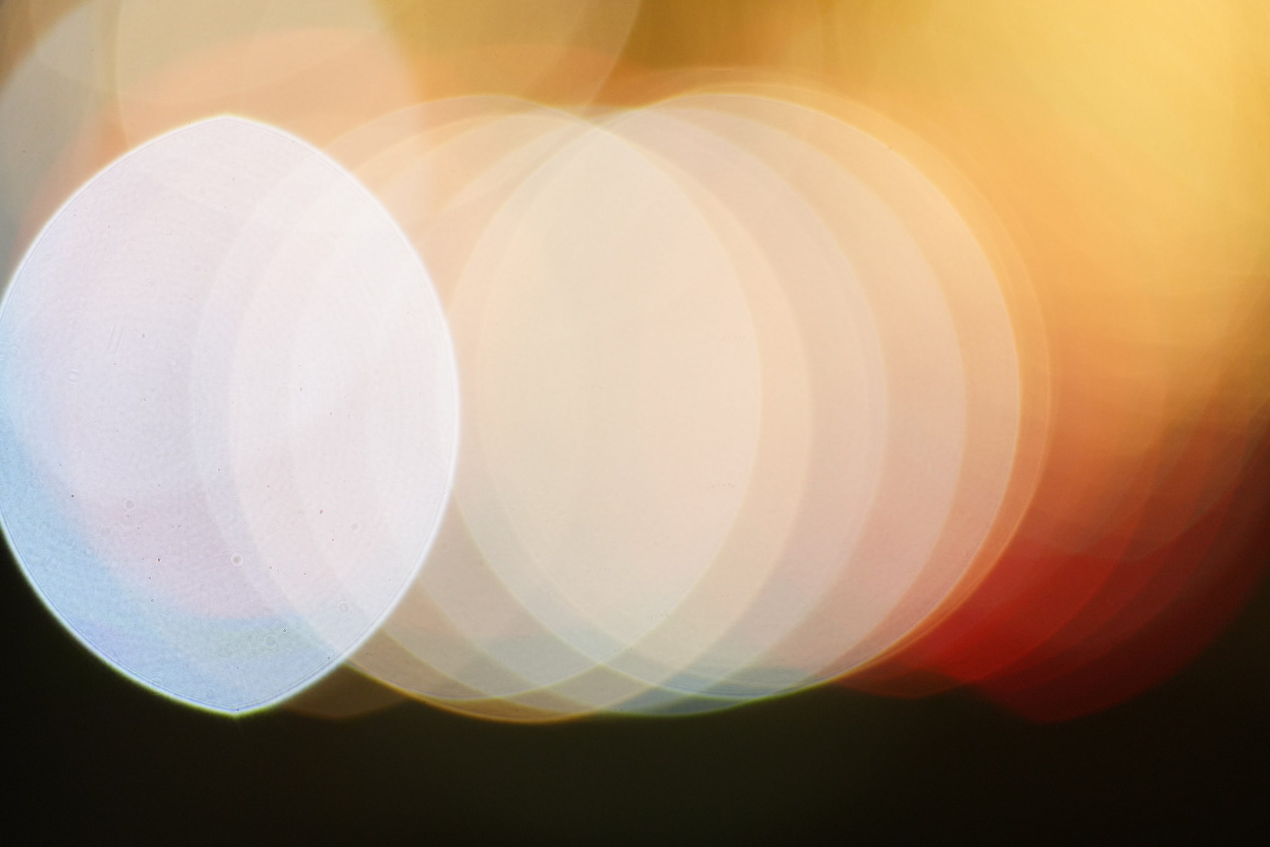 Sigma 70-200 DG DN OS. Фотограф Григорий Кравец