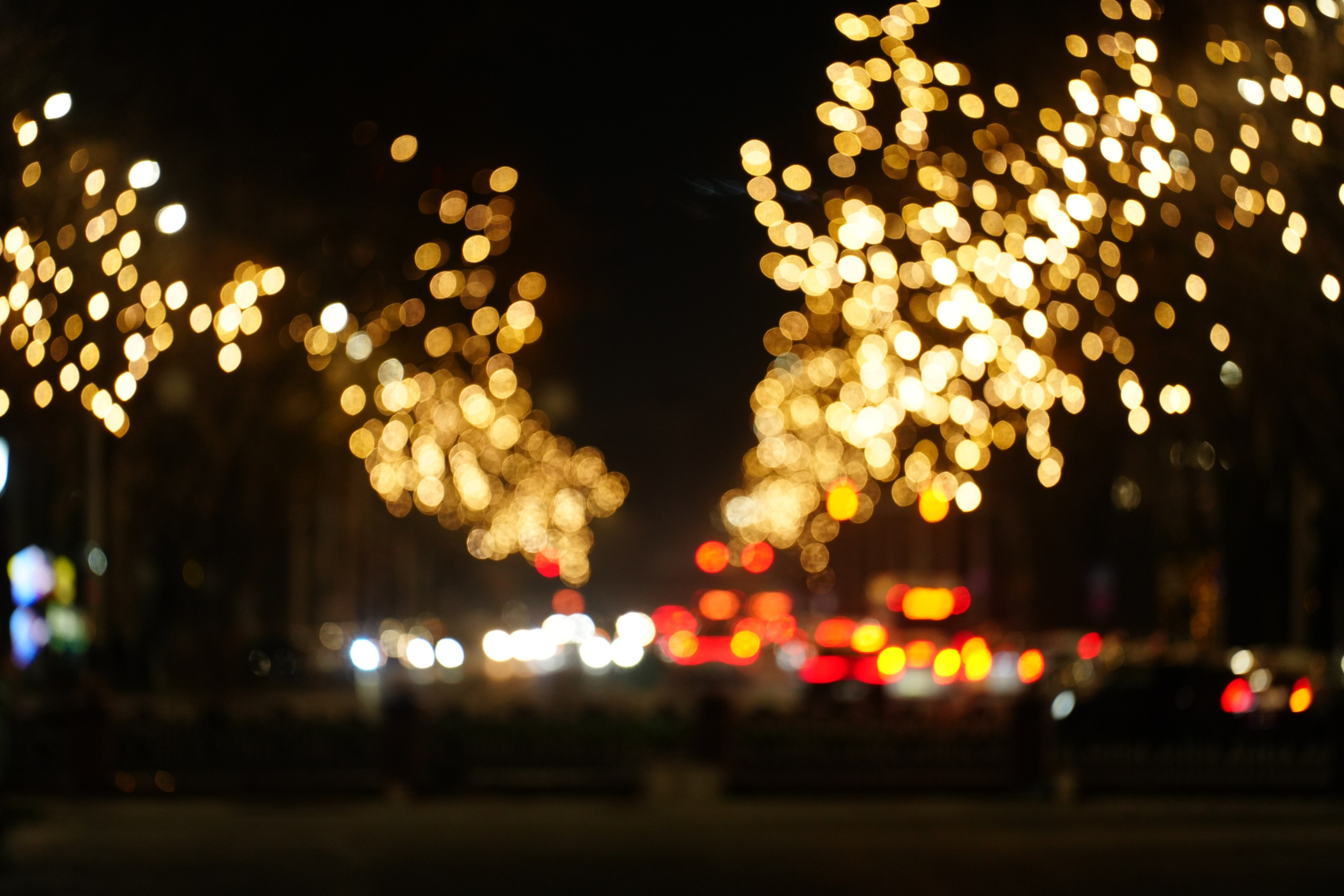 Sigma 70-200 DG DN OS. Фотограф Григорий Кравец