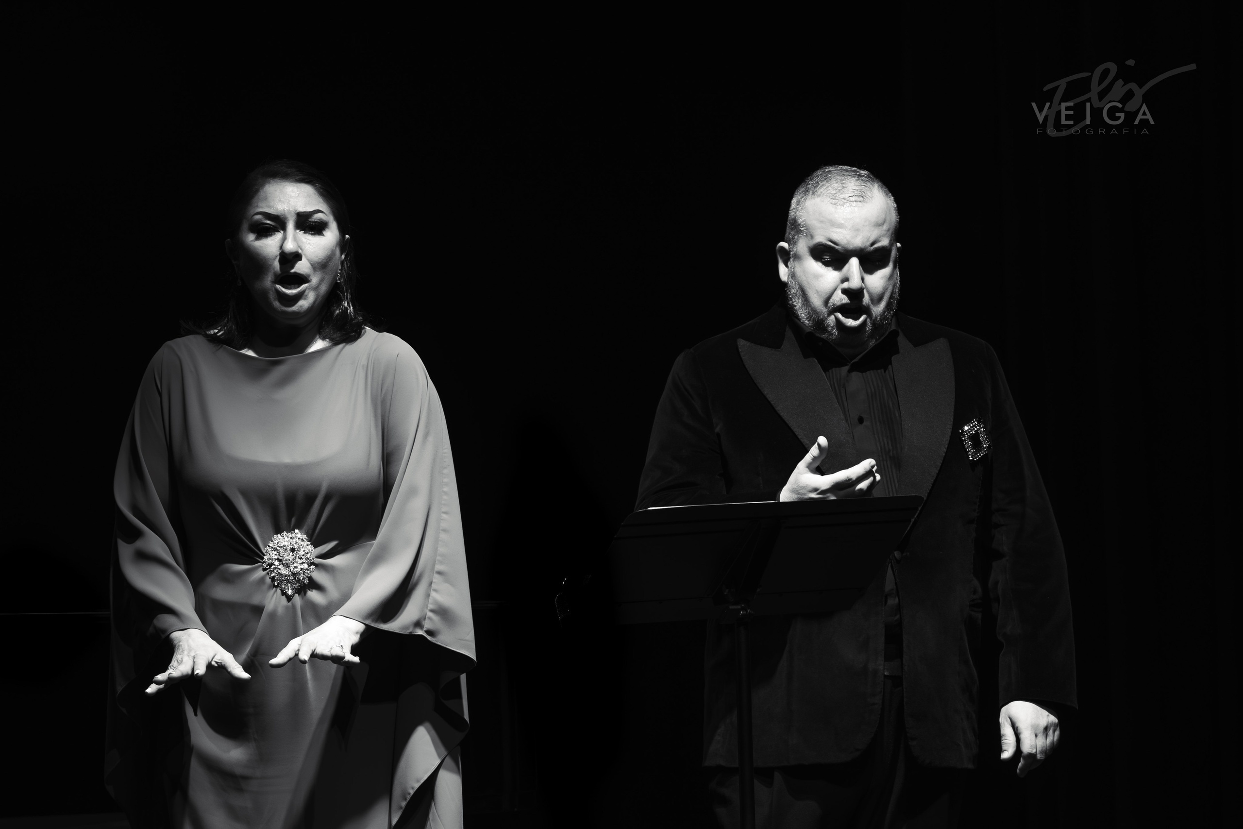 La música clásica como protagonista. Elisveiga