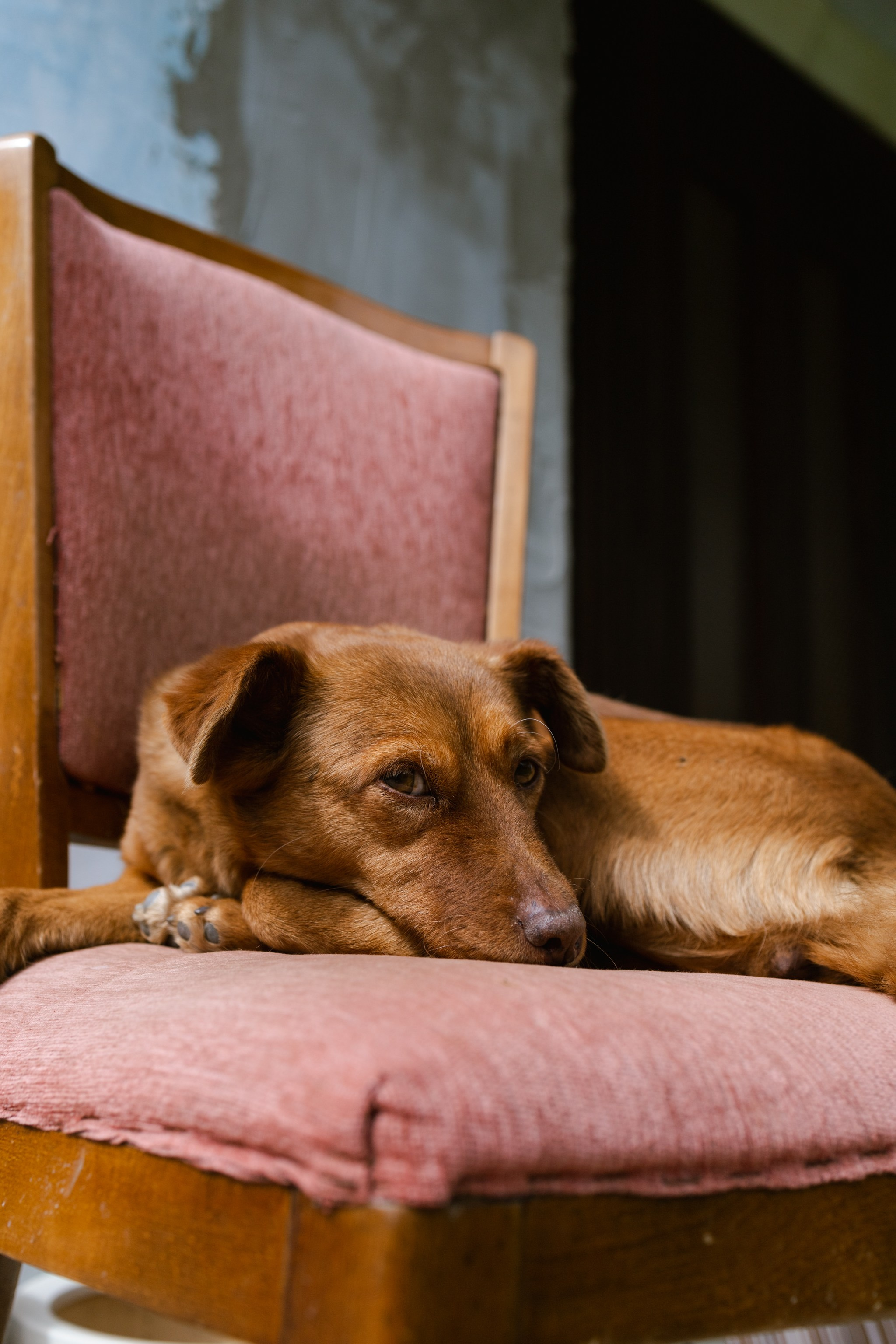 Видео. Анастасия Еремина | Фотограф в Сербии | Персональные и бизнес-фотосессии в Белграде и Нови Саде