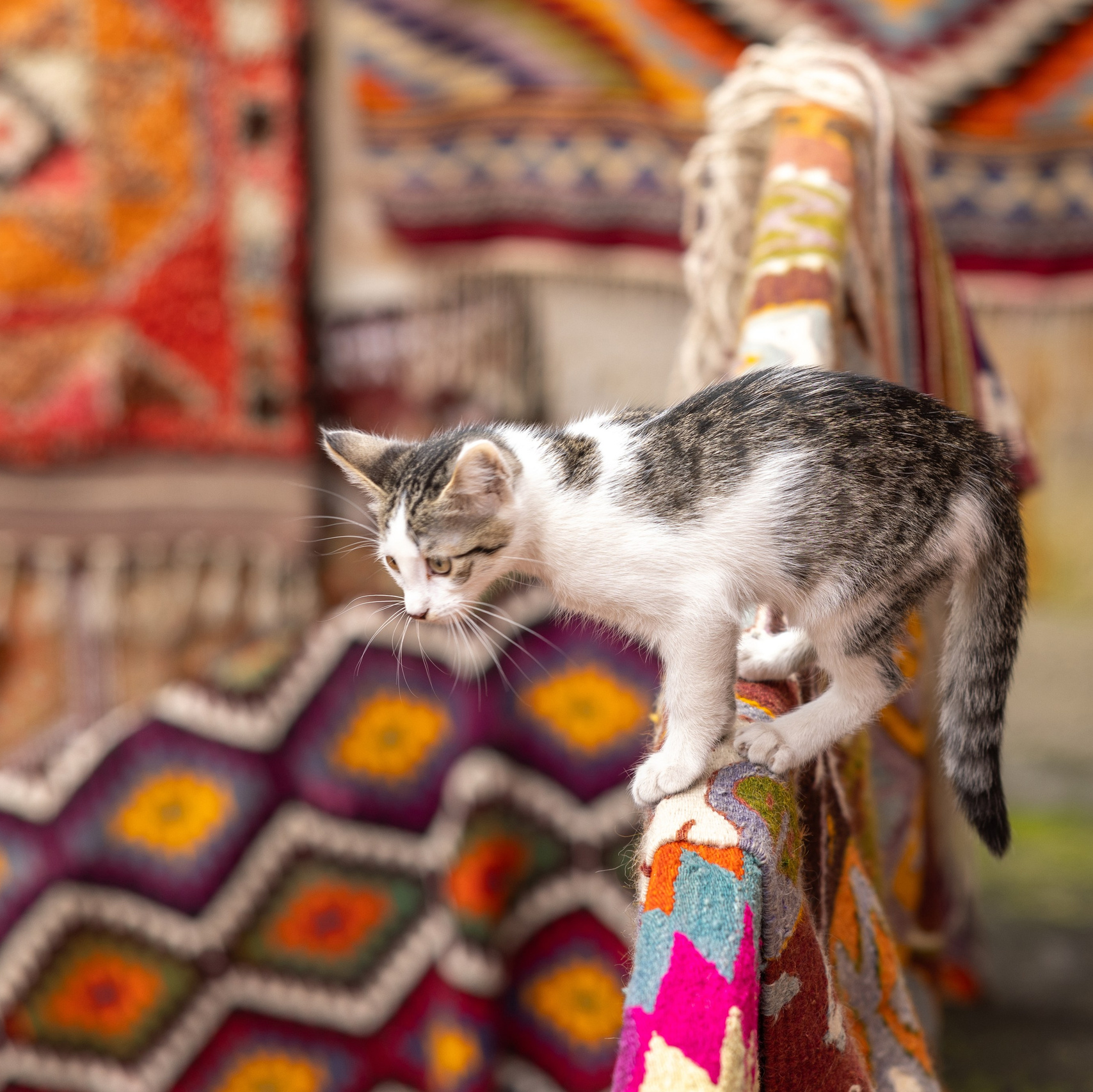 Carpet galleries. Фотограф в Каппадокии / Julia Ganch