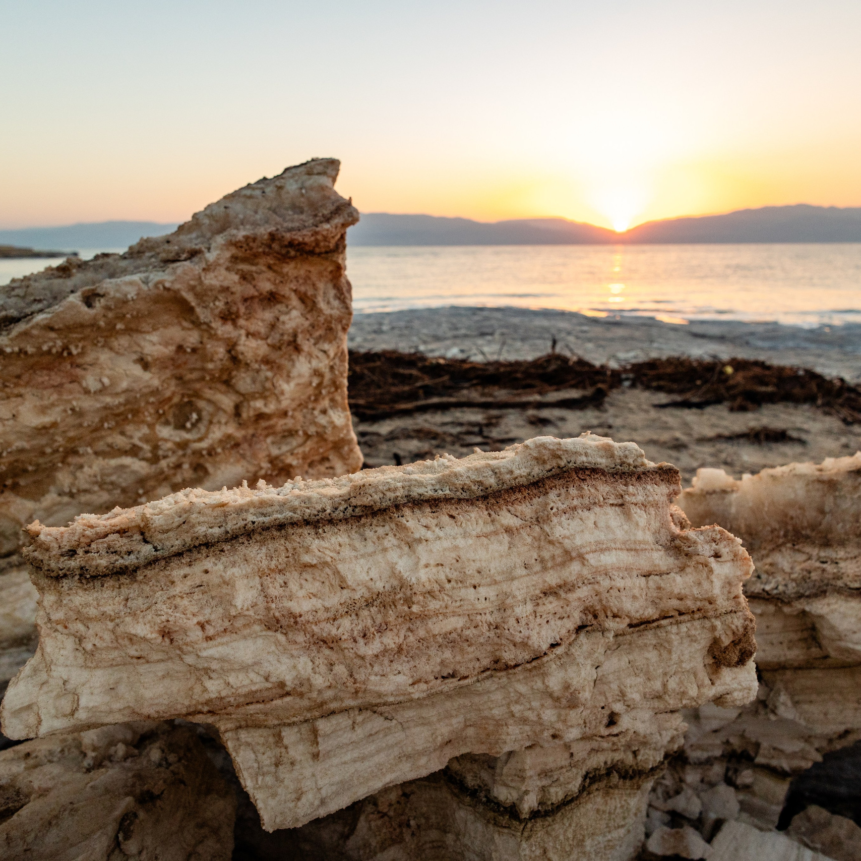 WORLD PHOTO. International Photographer