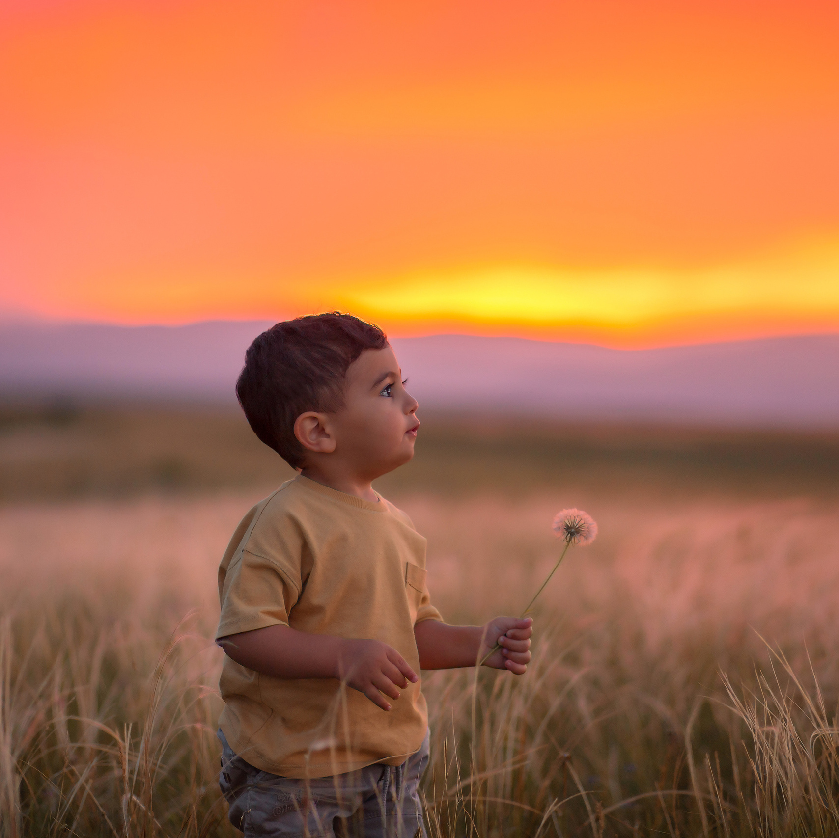 Стоимость услуг—Армения. Детский и семейный фотограф Армения, Грузия