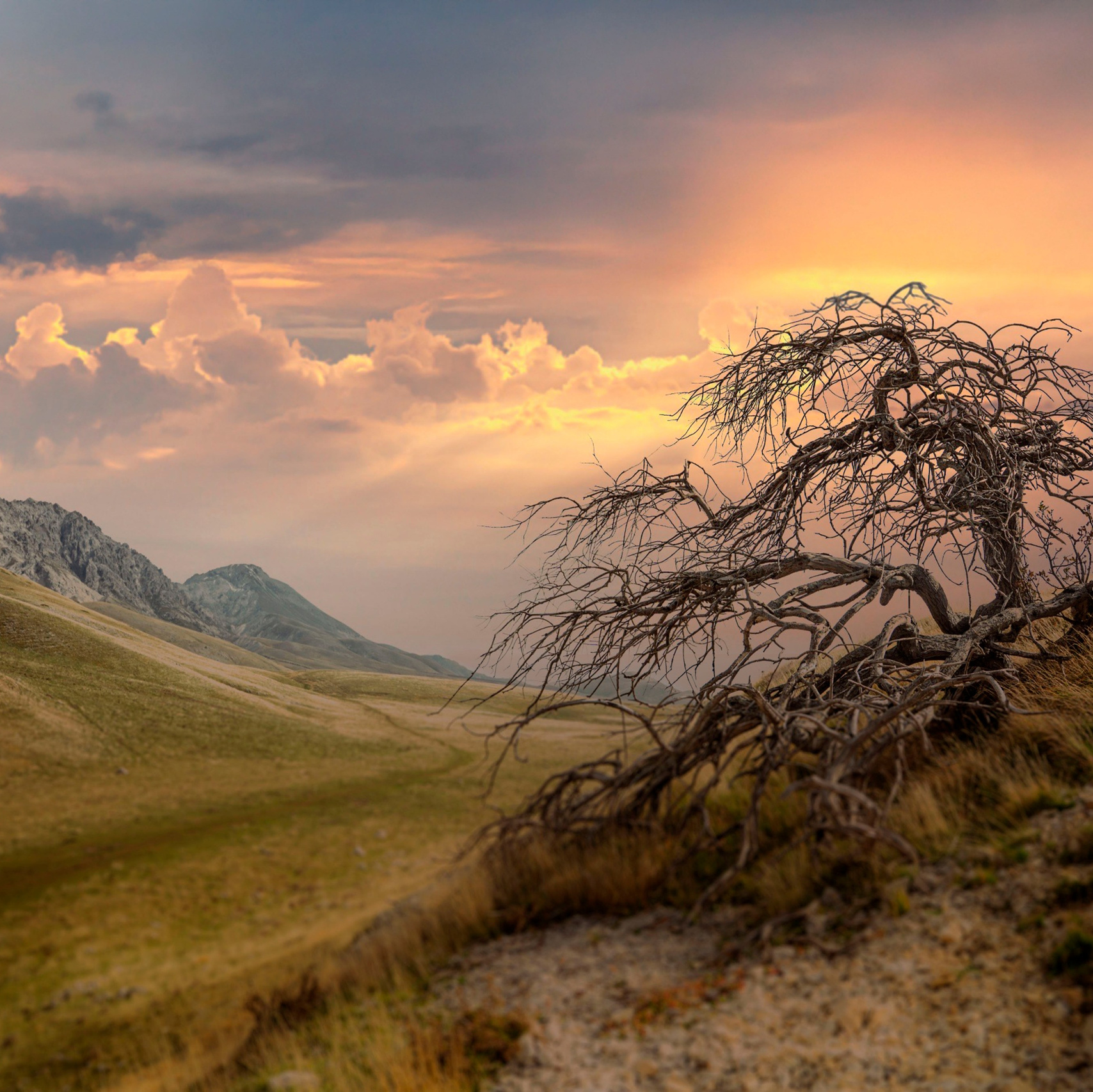 Sostenibilità 🌿. Fotografia e video