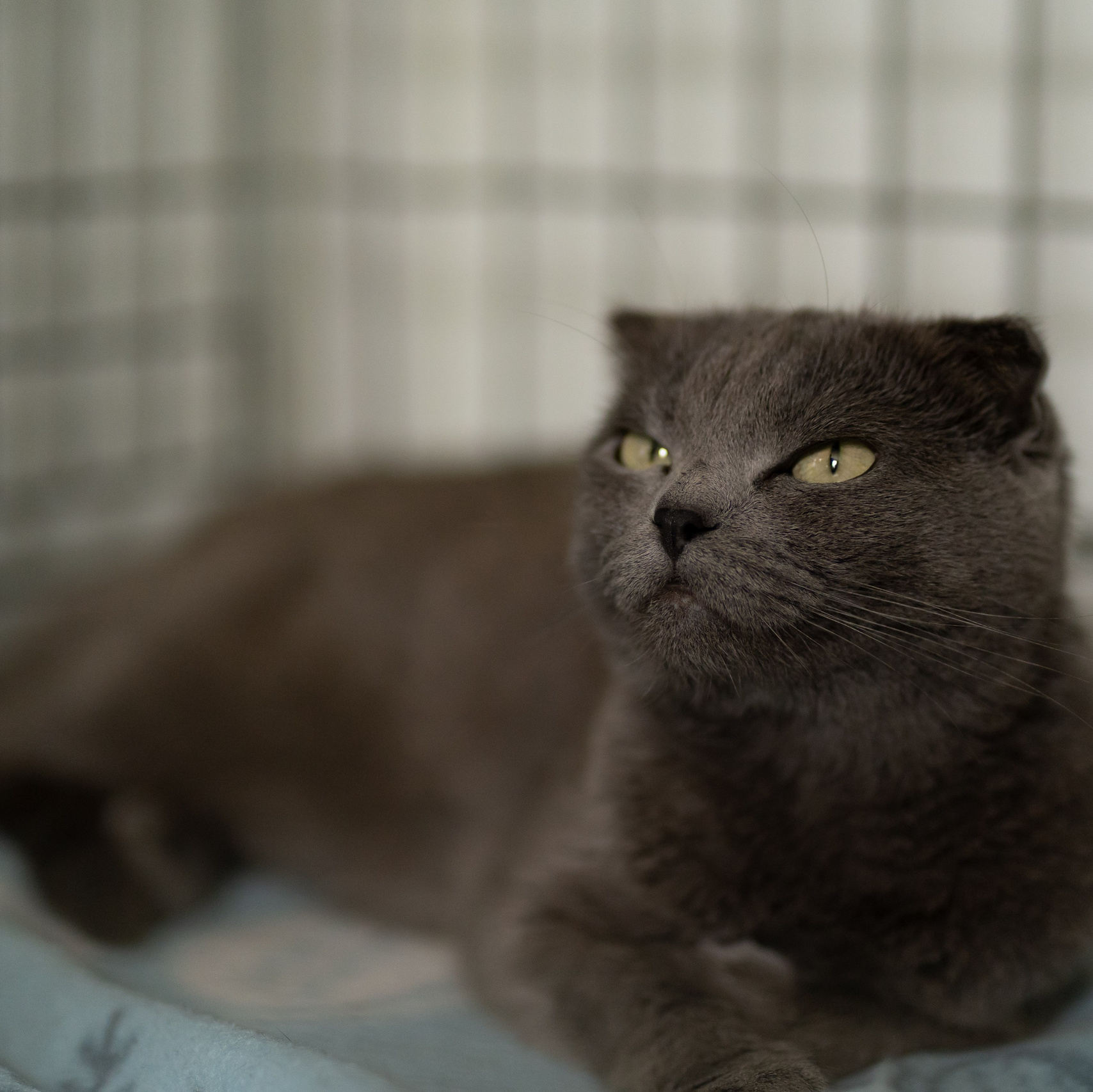 Сім’я кожному. Family photographer in Kiev Natalia Shkavron