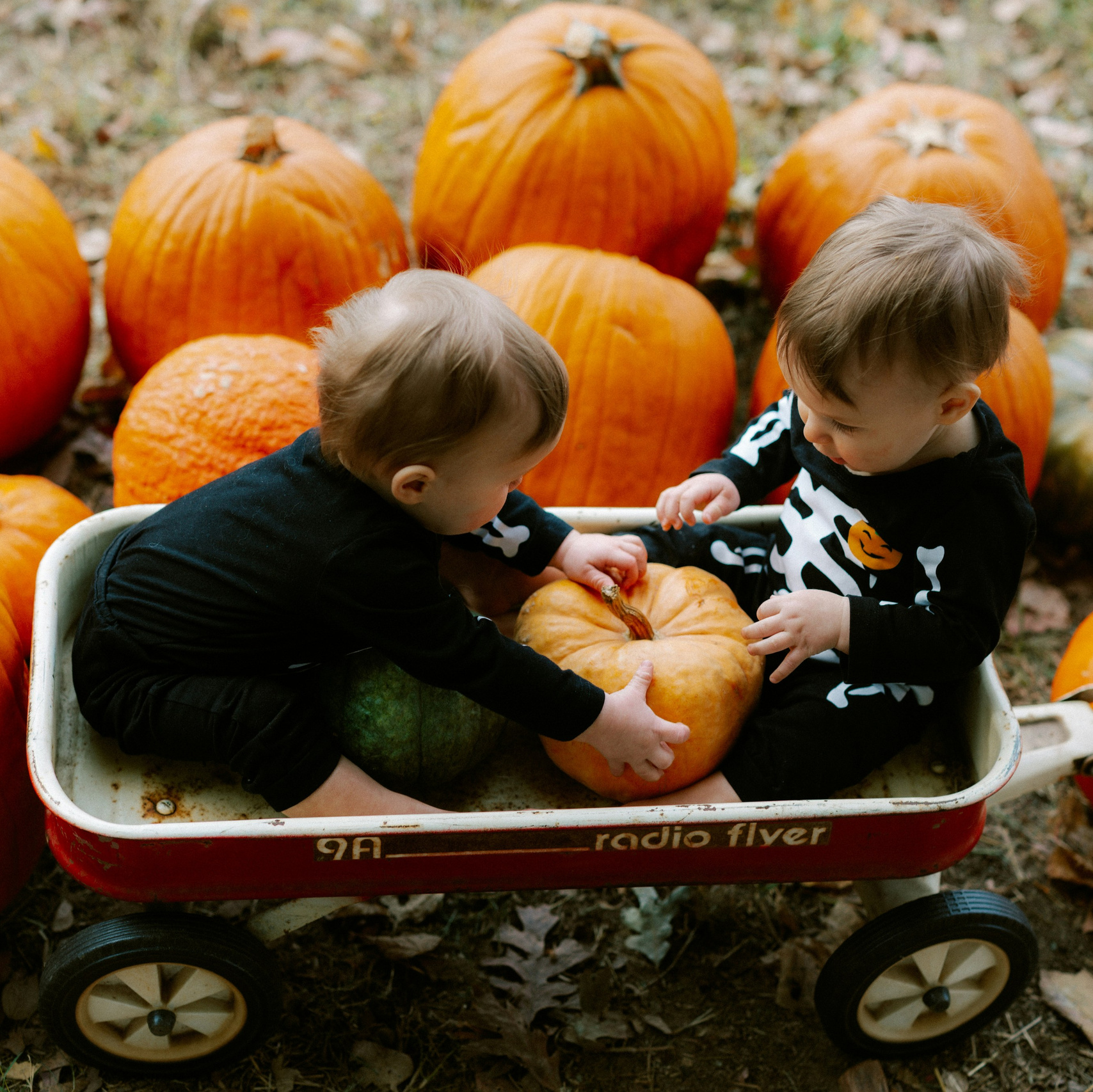La Bottega delle Zucche | Servizio Fotografico Autunnale per Bambini