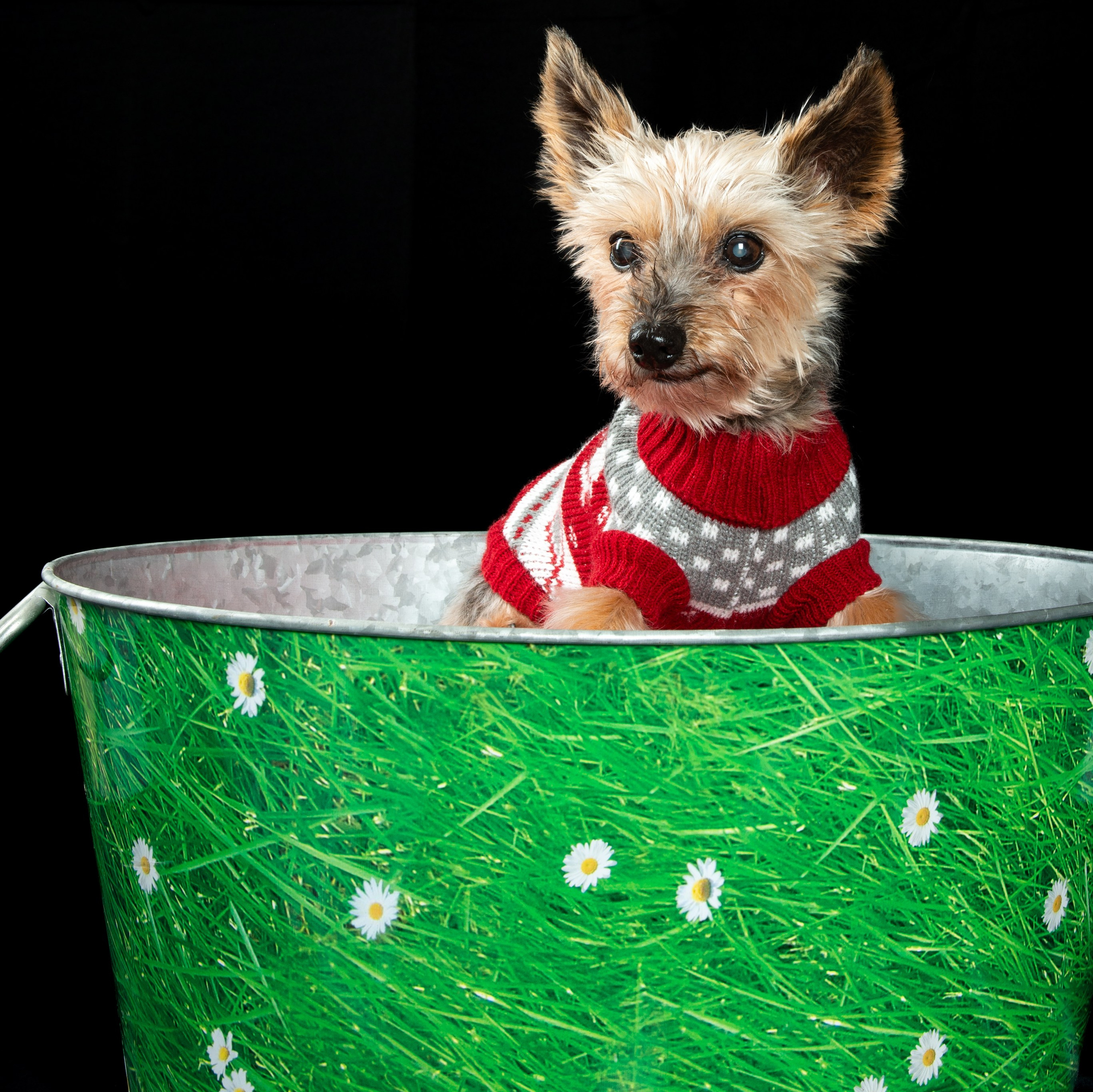 Fotografía de marca personal y moda en Gran Canaria | Migui Expressive