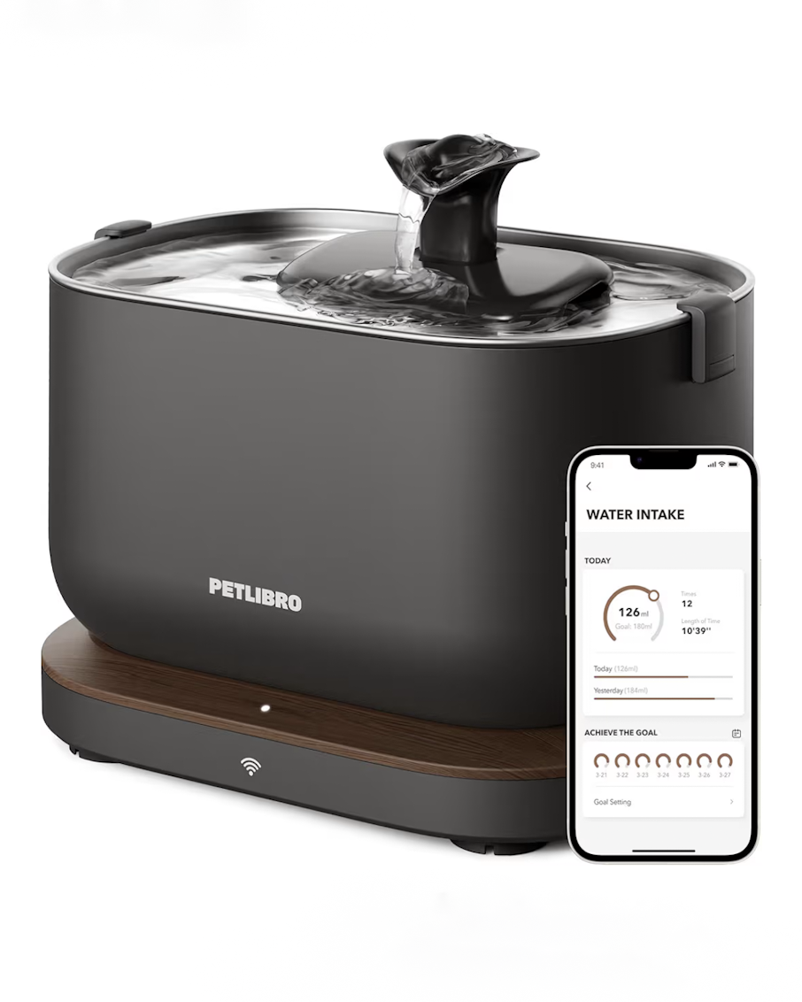 Automatic cat water fountain for multiple cats stainless steel breeder recommended