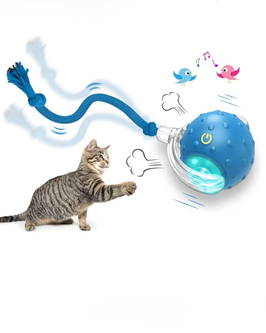 lInteractive motion cat ball rechargeable toy for indoor cats enrichment