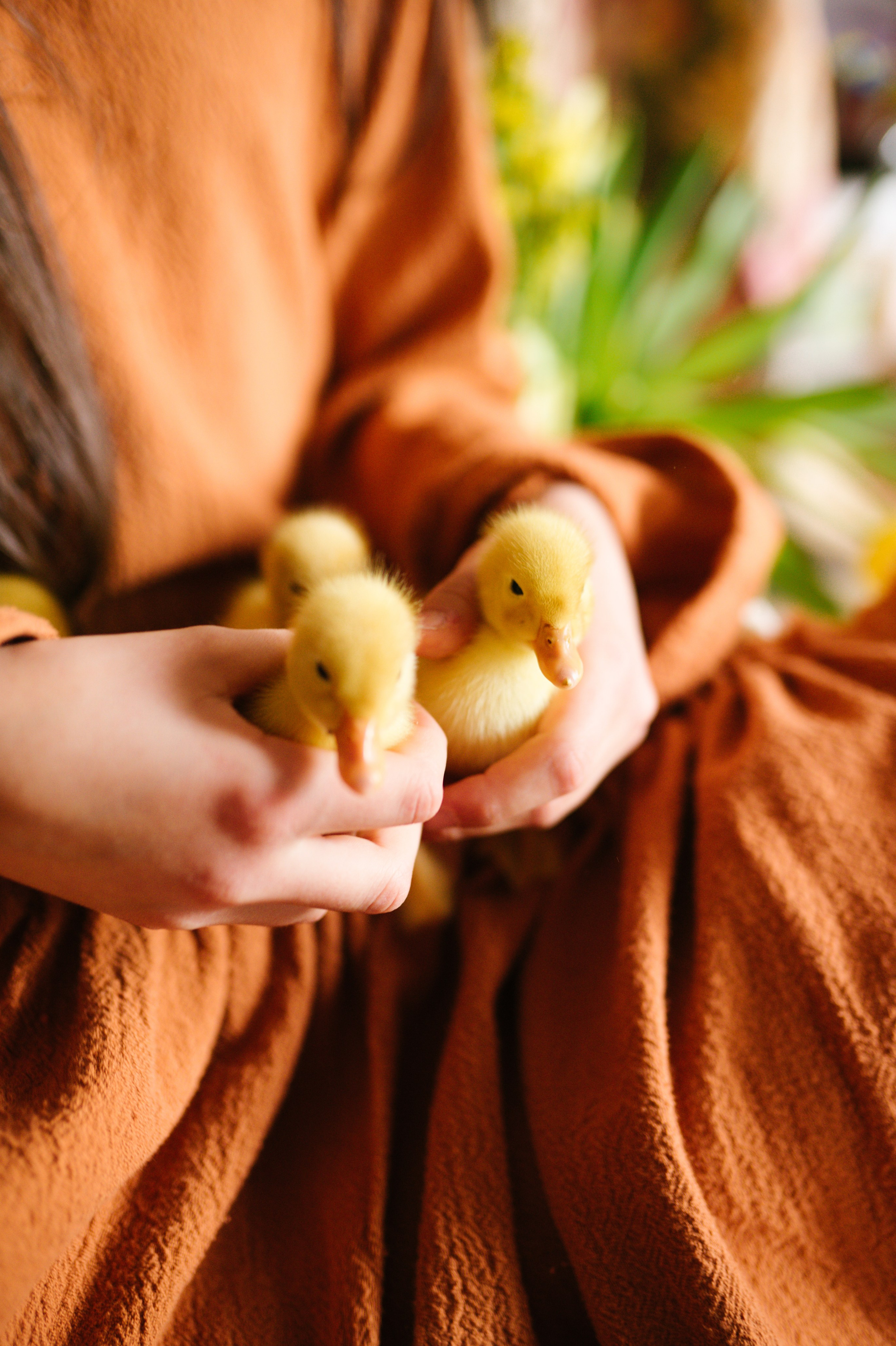 Ce Ofer: Artă, Conectare și Sprijin | Mădălina Beda. Madalina Beda- Artist vizual, fotograf, doula la nastere, consultant babywearing Brasov si in toata tara