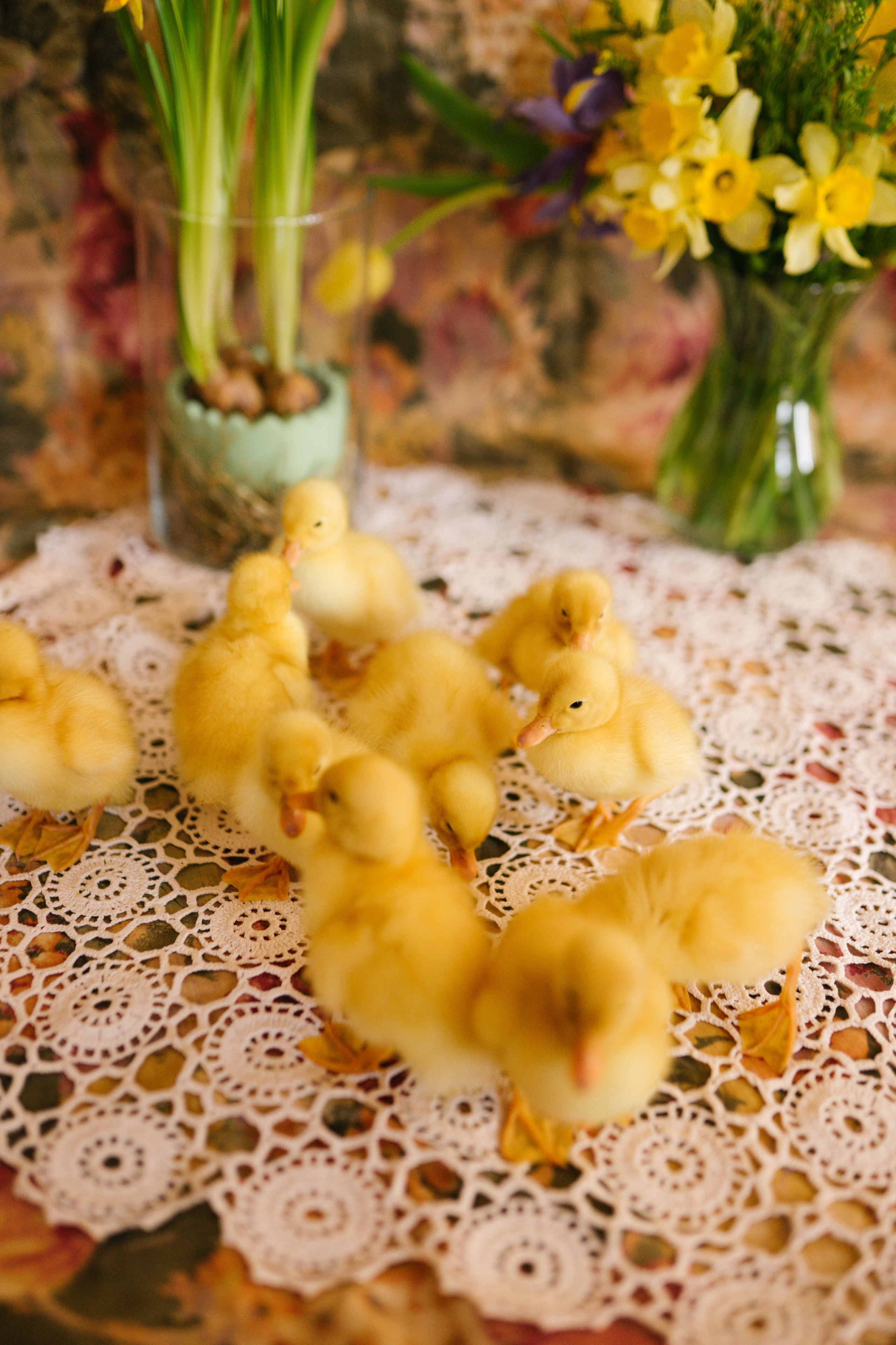 Ce Ofer: Artă, Conectare și Sprijin | Mădălina Beda. Madalina Beda- Artist vizual, fotograf, doula la nastere, consultant babywearing Brasov si in toata tara