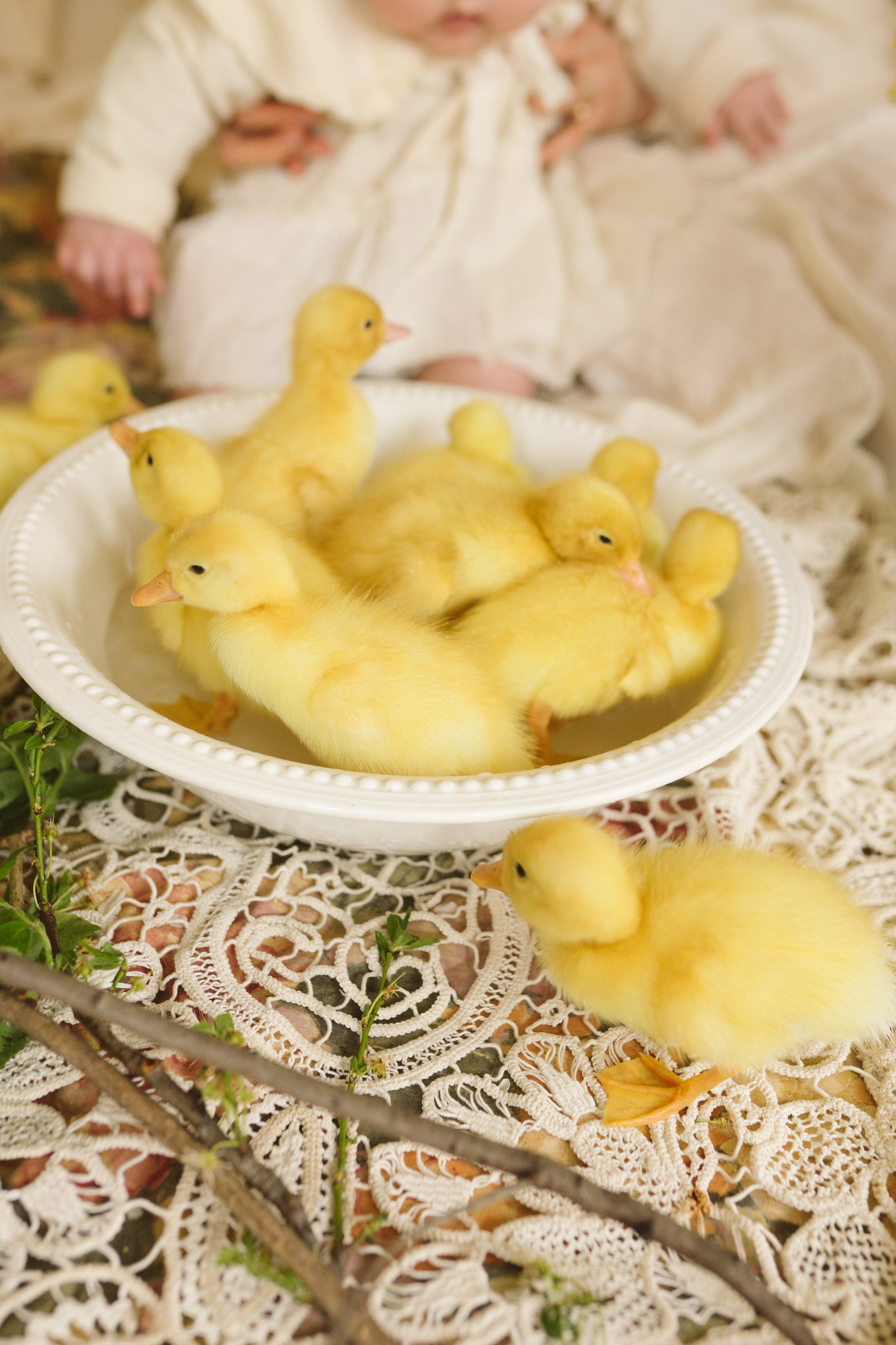 Ce Ofer: Artă, Conectare și Sprijin | Mădălina Beda. Madalina Beda- Artist vizual, fotograf, doula la nastere, consultant babywearing Brasov si in toata tara