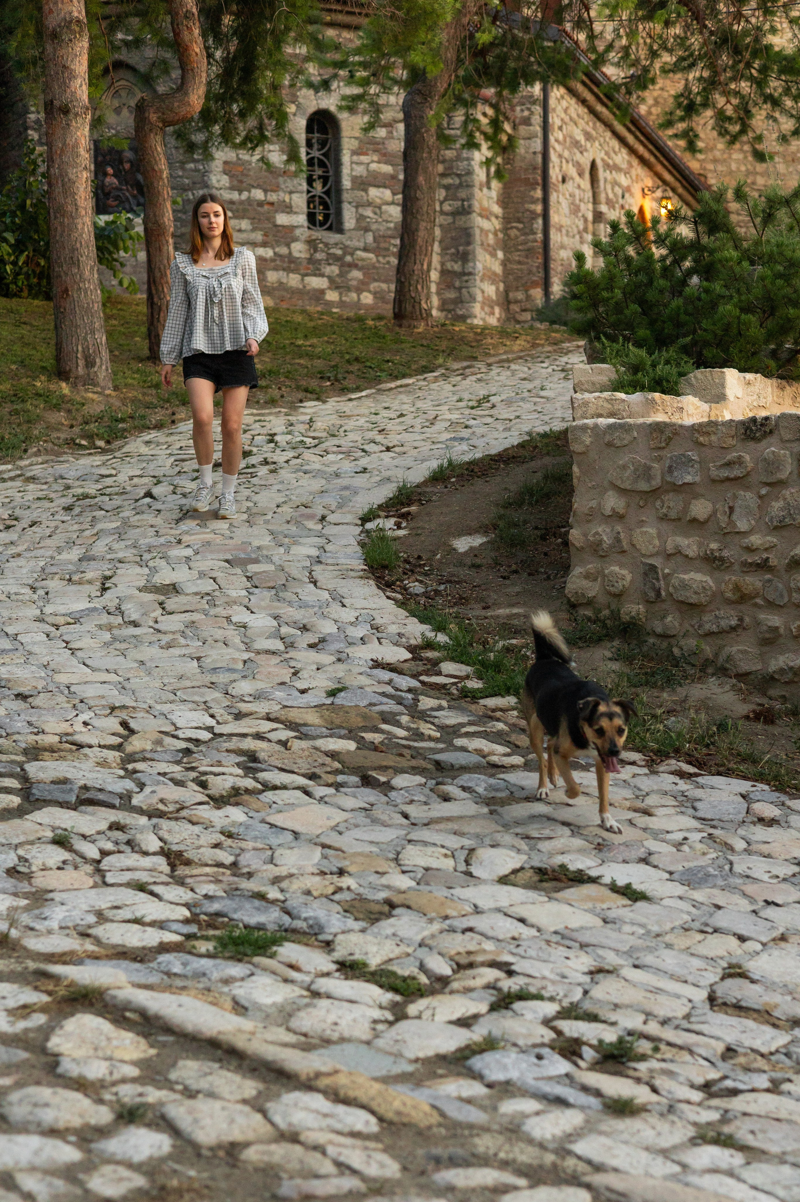 Услуги. Фотограф-анималист | Белград