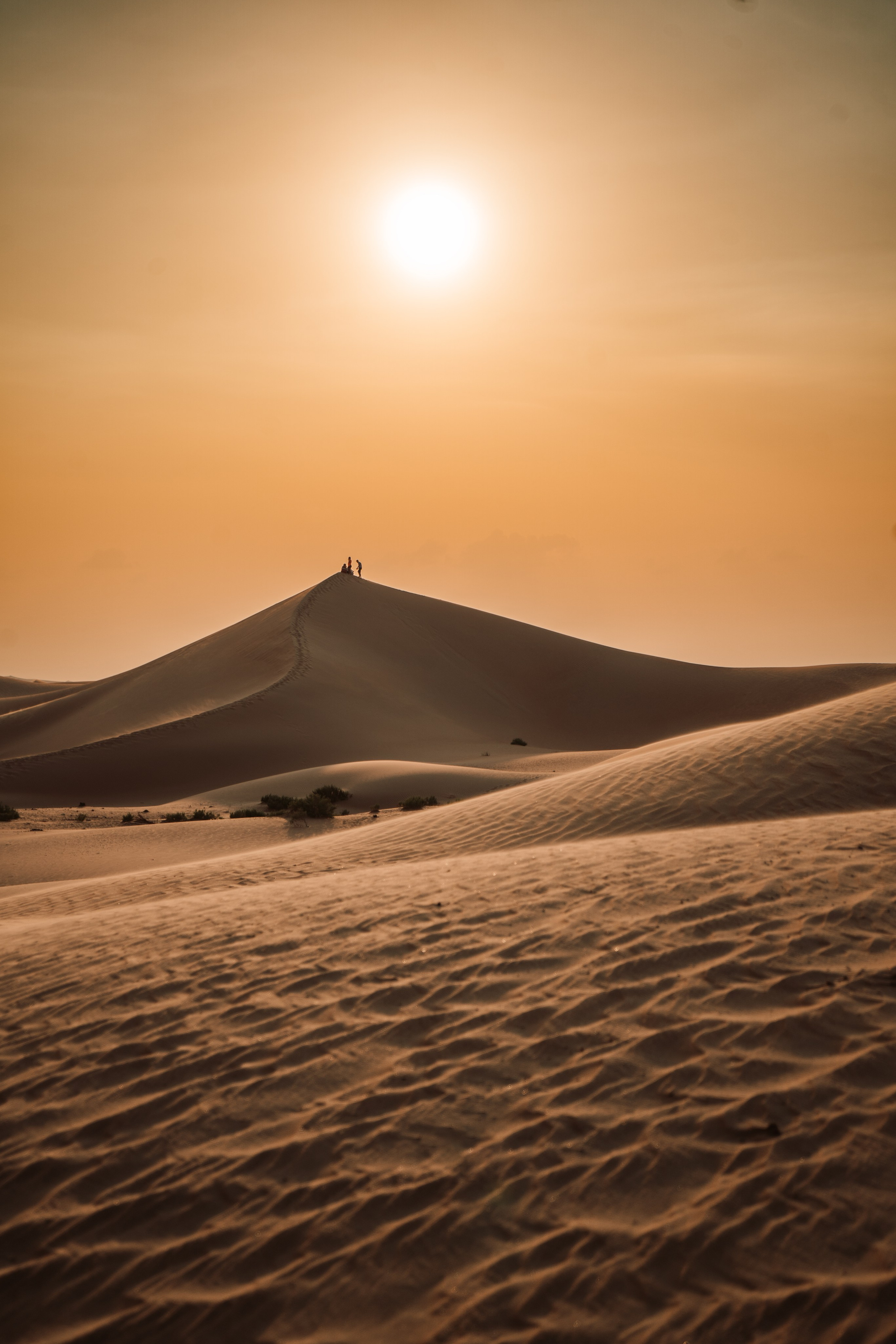 Photography Awards and Competitions — Achievements in Abu Dhabi and Beyond. Mariia Safronova is your photographer in Abu Dhabi and Dubai