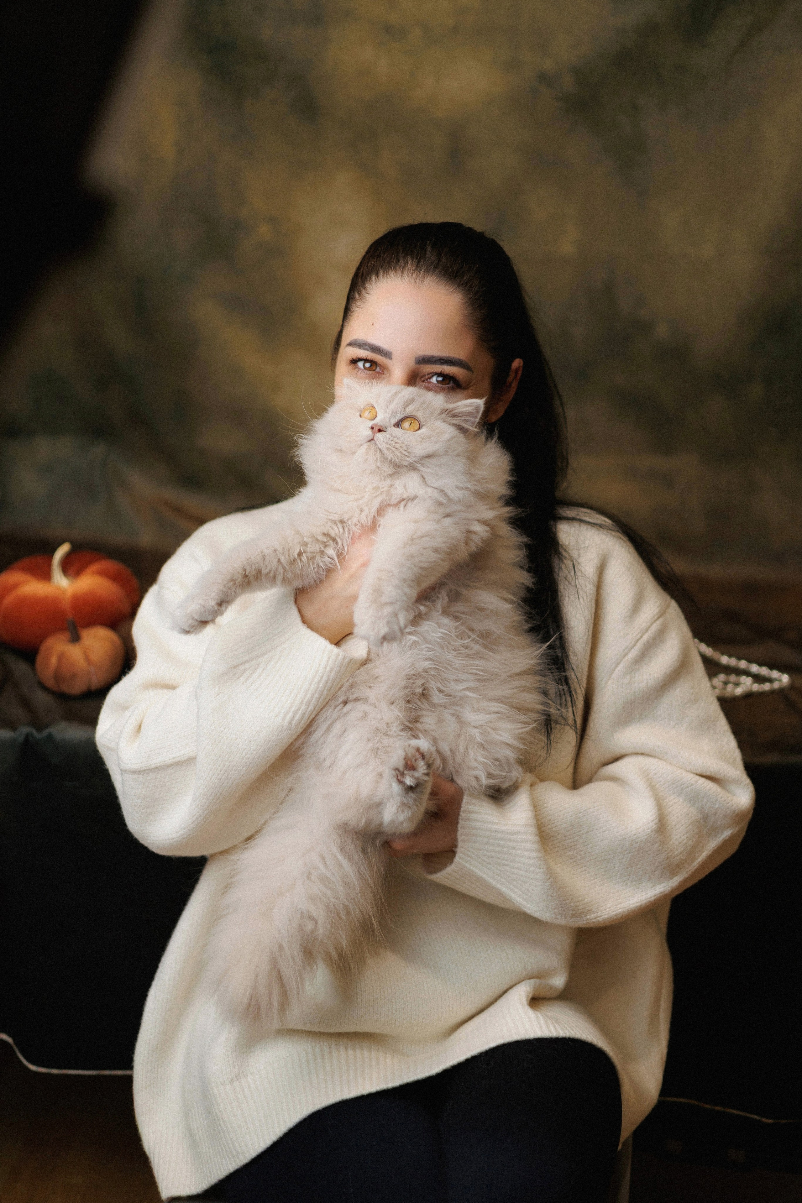 Pet photography. Photography & videography for brands. Individual shooting. Midlands, England