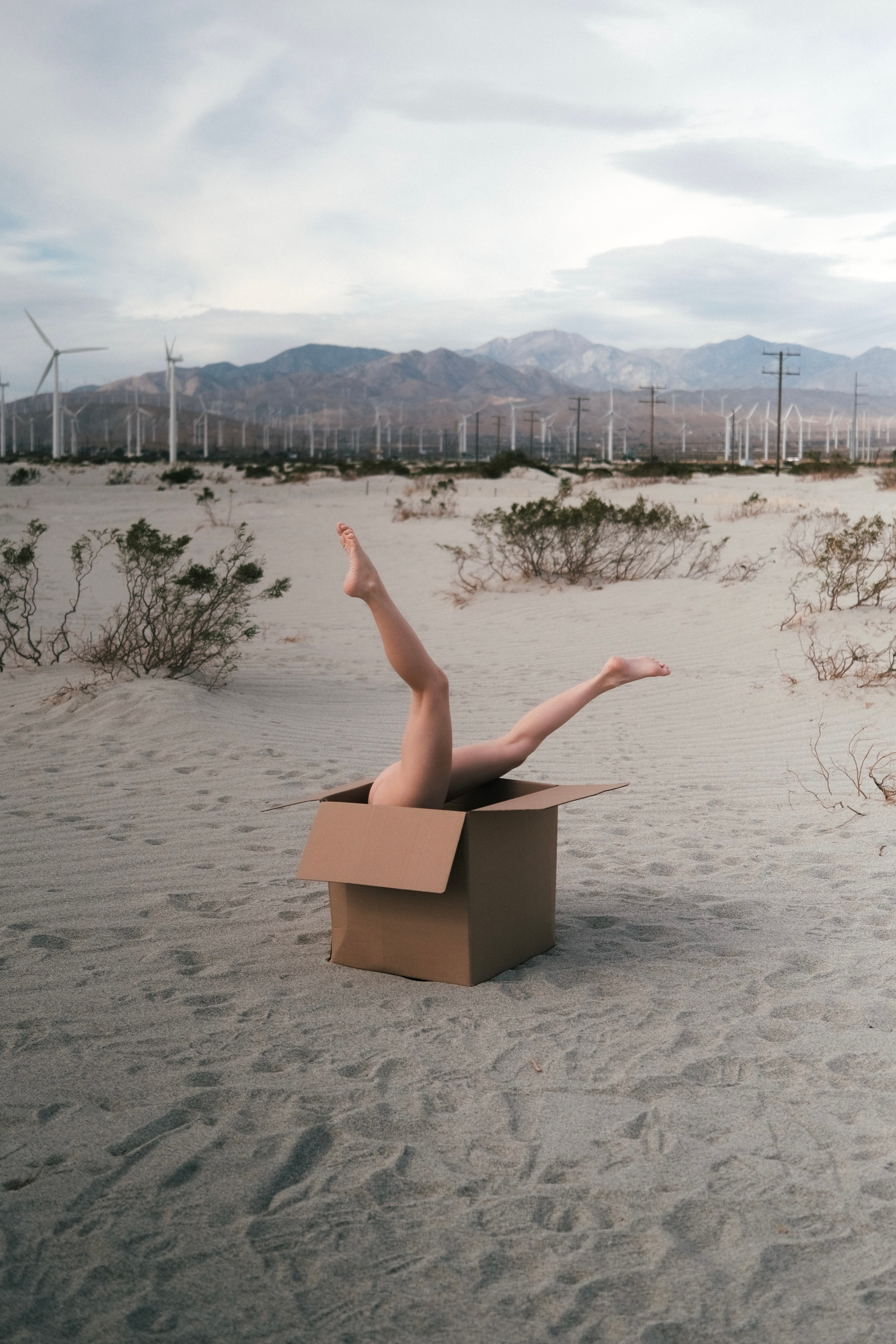 Prints. Mariia Ermakoava