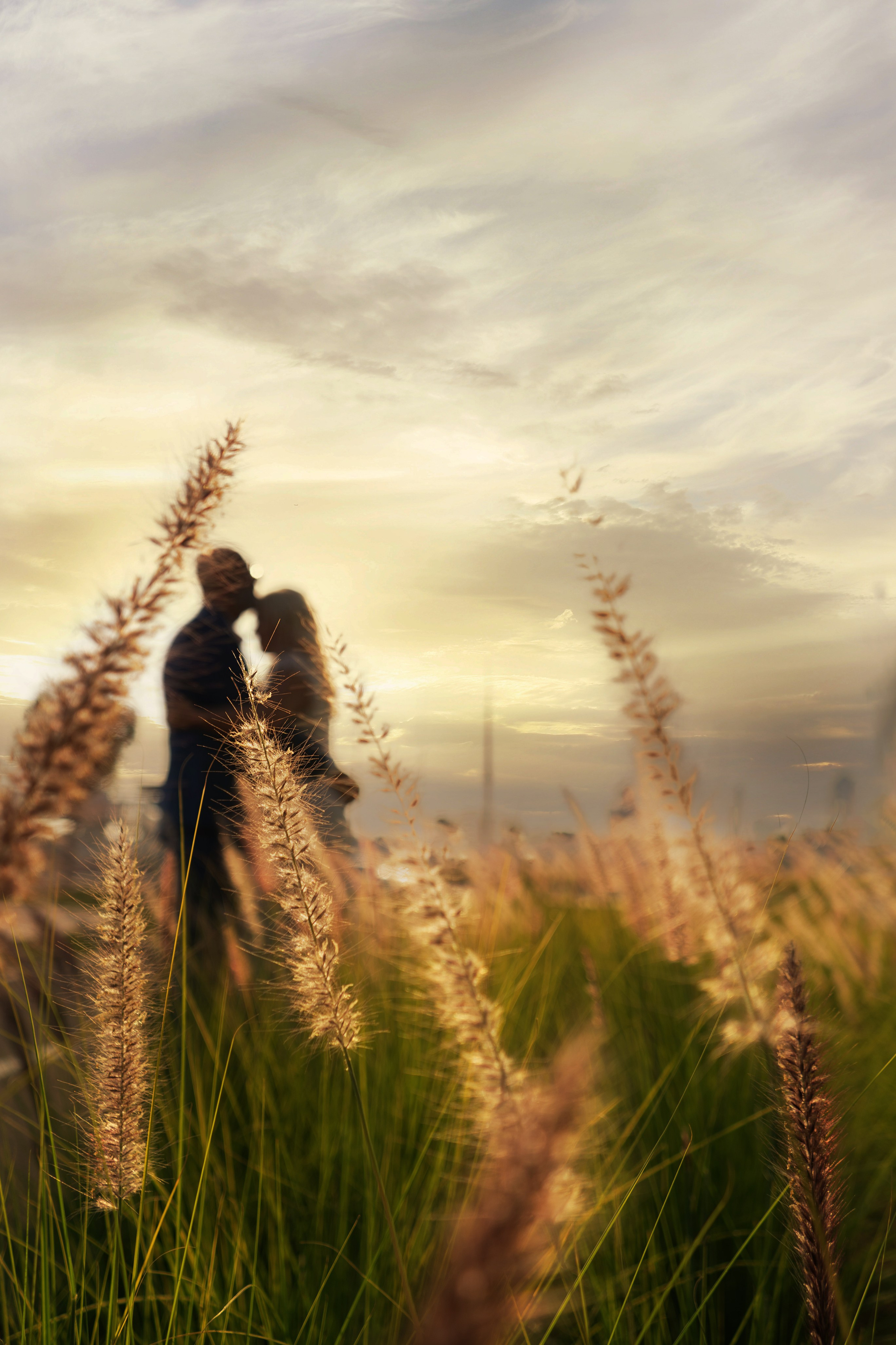 Photography Awards and Competitions — Achievements in Abu Dhabi and Beyond. Mariia Safronova is your photographer in Abu Dhabi and Dubai