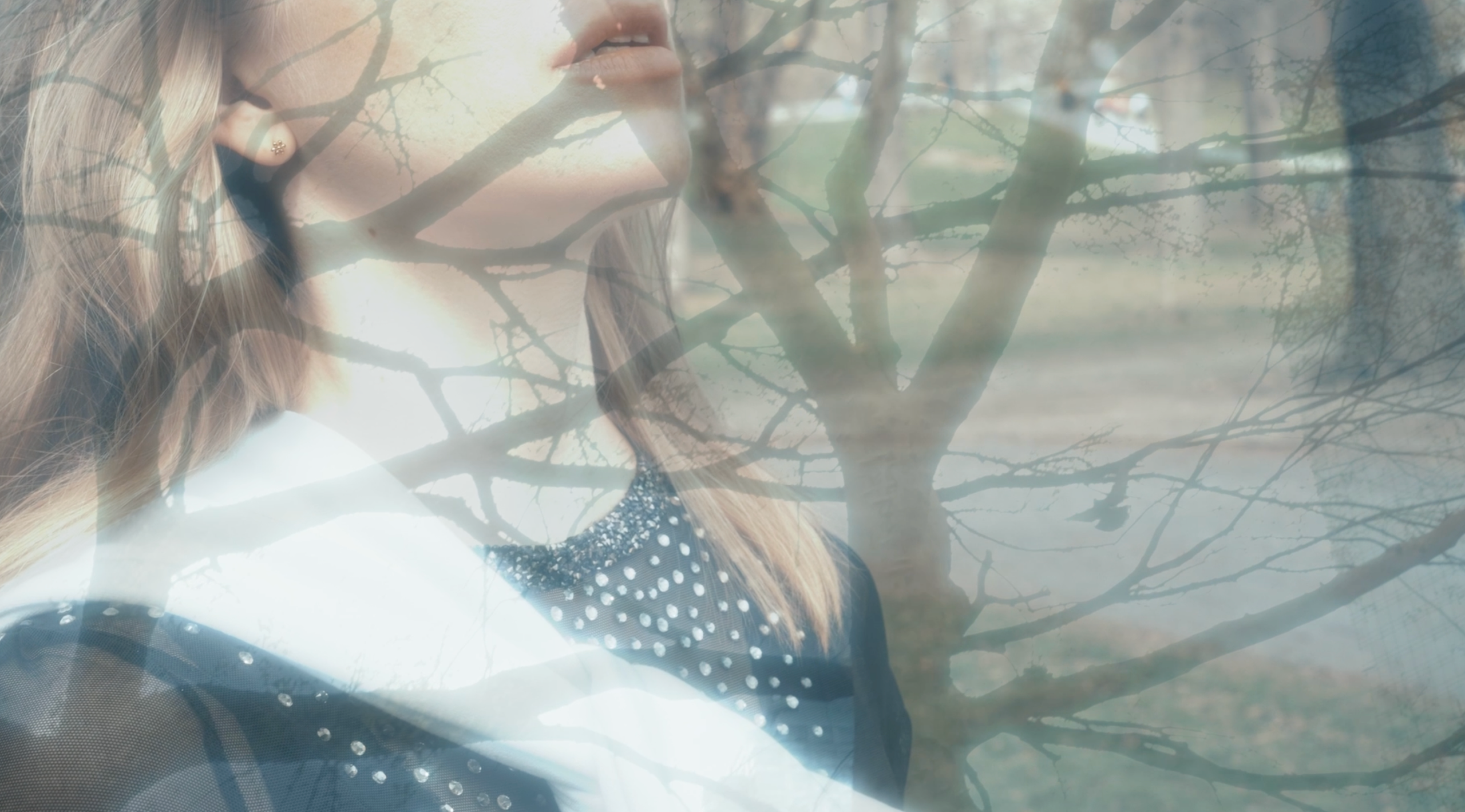 Portfolio. Tanya Kolser — Visual Artist, Director