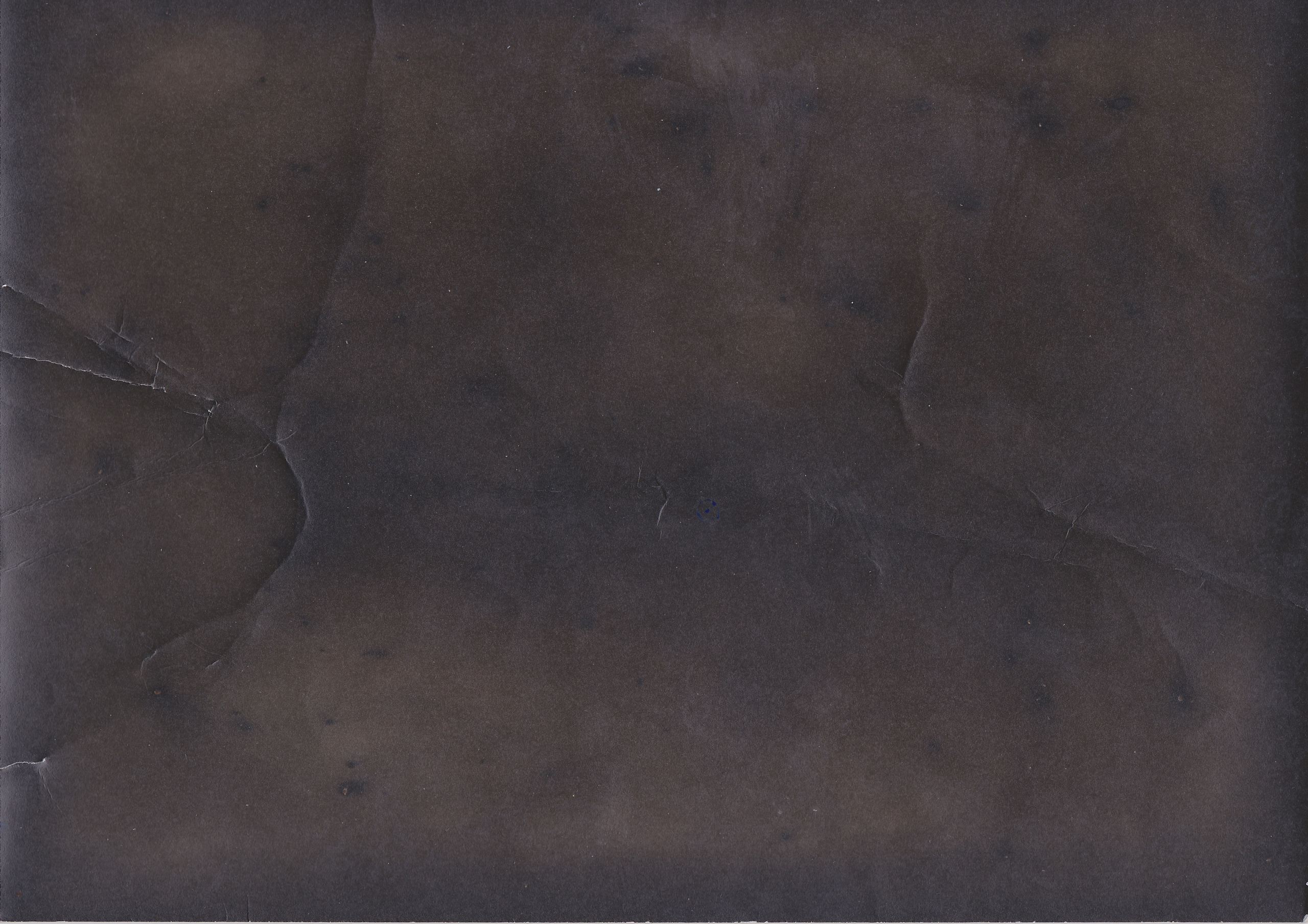 Untitled. Eugenia Ignatova multidisciplinary artist, photographer in Belgrade