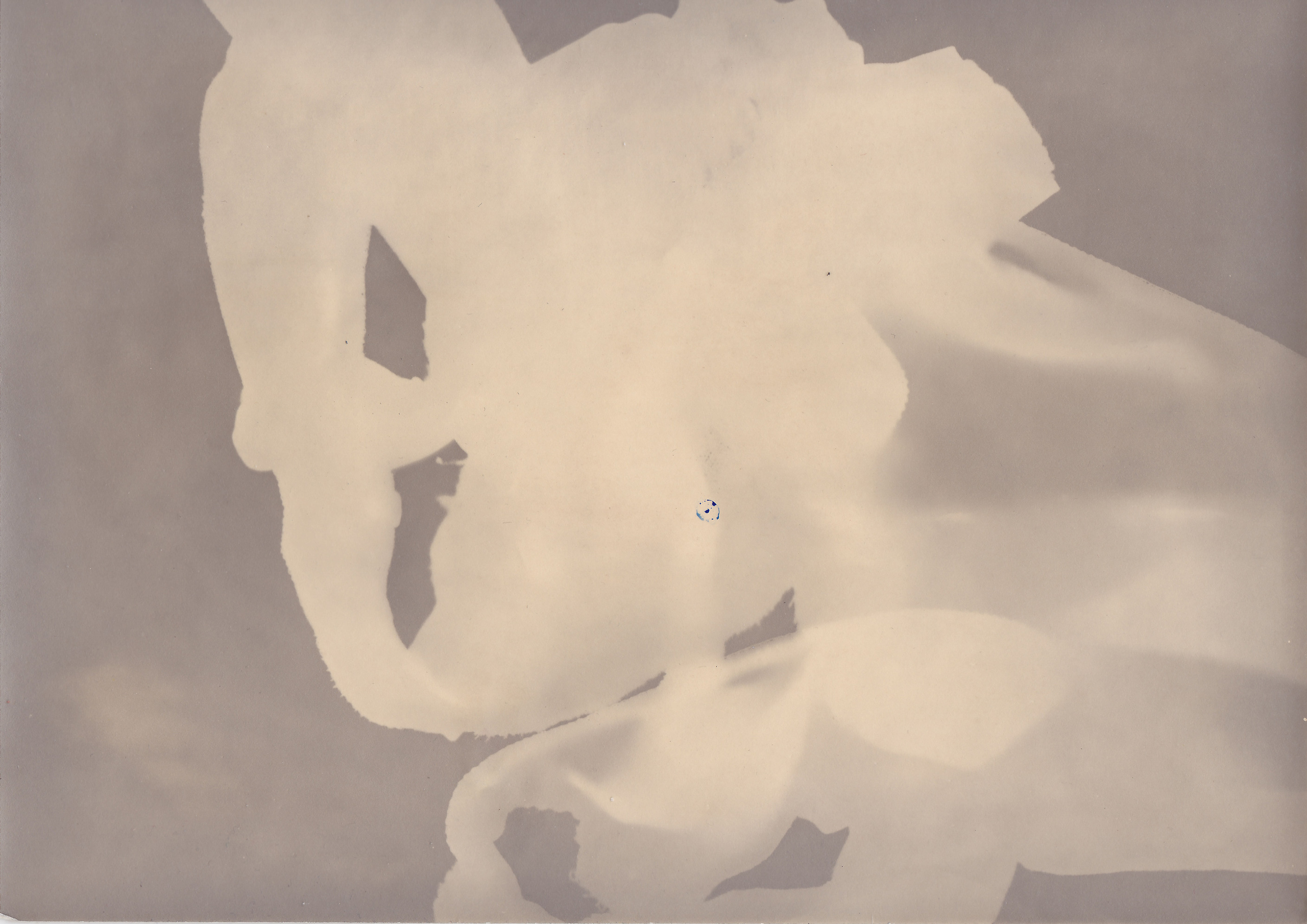 Untitled. Eugenia Ignatova multidisciplinary artist, photographer in Belgrade