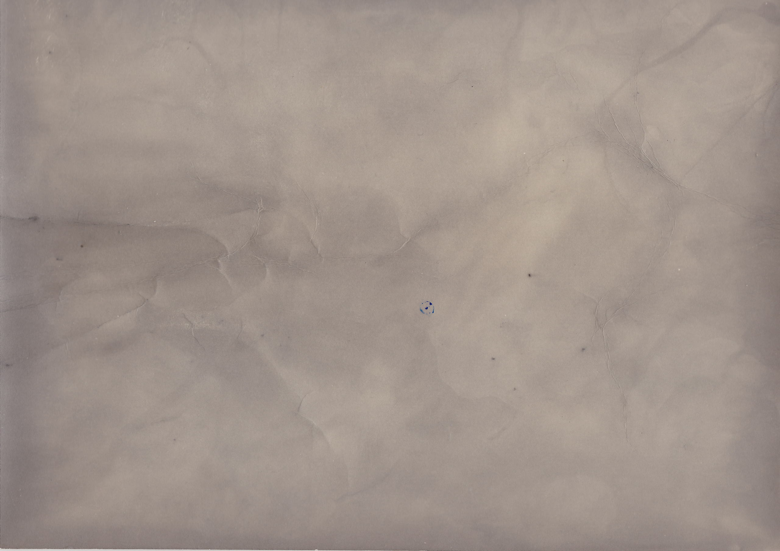 Untitled. Eugenia Ignatova multidisciplinary artist, photographer in Belgrade