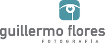 guillermoflores.com