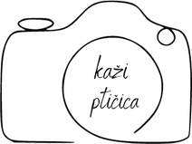 kazipticica.com