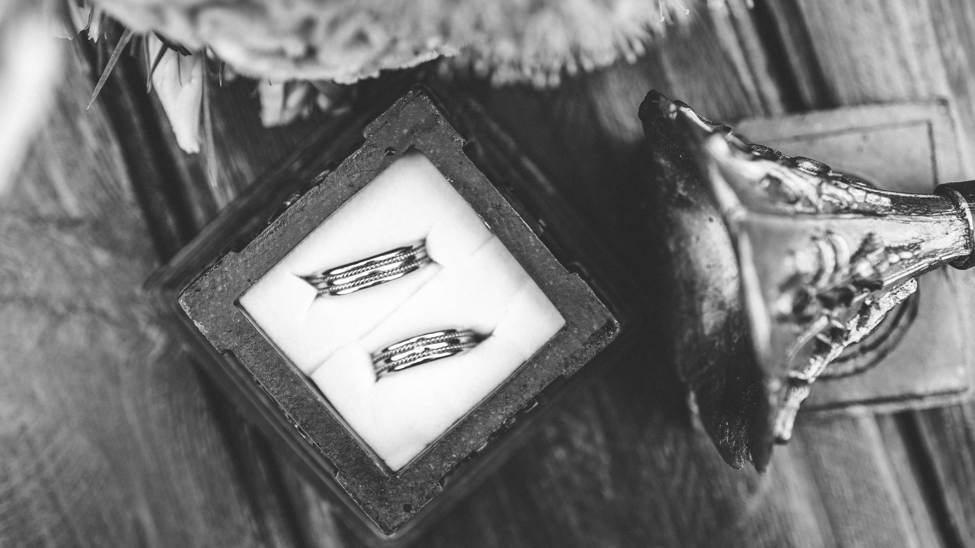 Kreativan fotograf za venčanja Novi Sad | Dragan Burnać. Fotograf za venčanja Novi Sad - Dragan Burnać