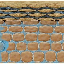 Korneotherapie. Kosmetikstudio Victoria Becker