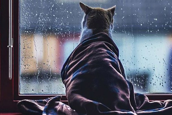 Атмосфера спокойствия и умиротворения всегда будут в вашем доме, благодаря качественным окнам от Enigma!