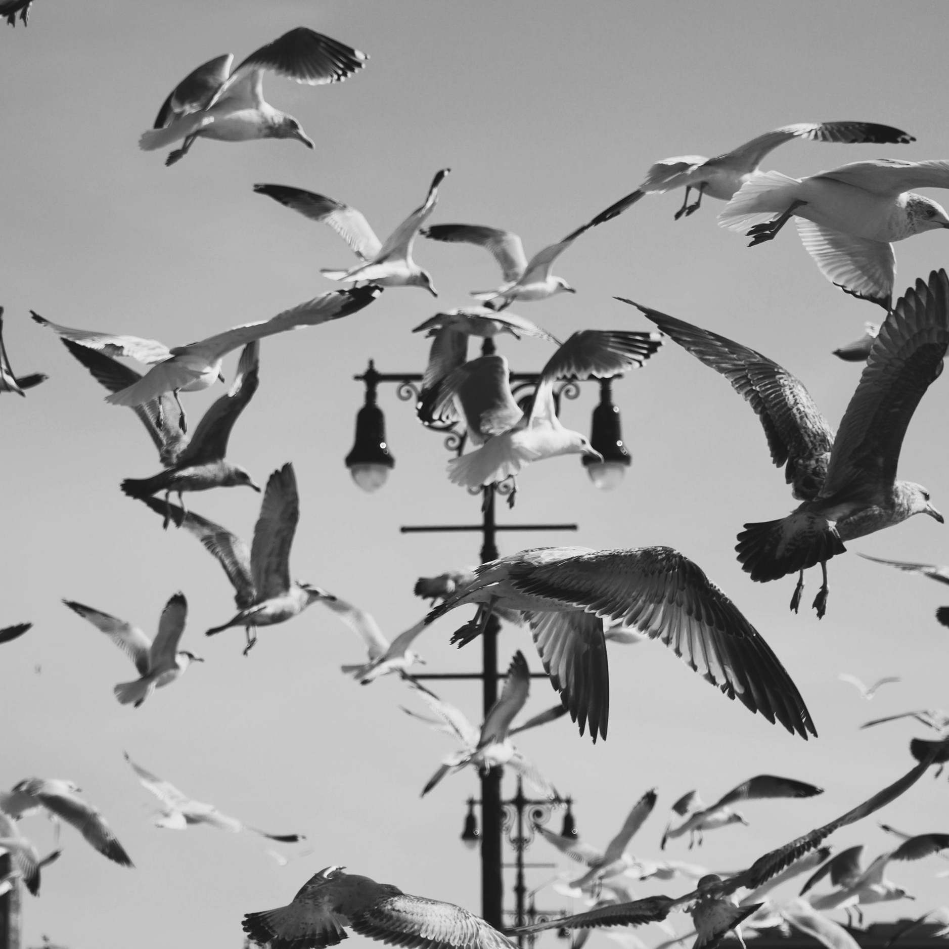 Contact. Dash_photopic.I’m Daria New York based photographer