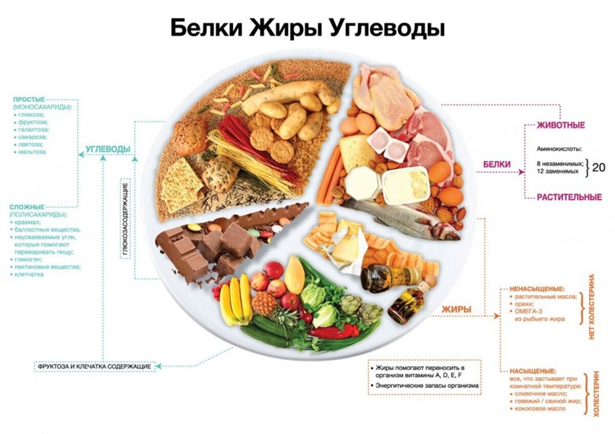 Как работает Майя, похудеть без диет и запретов. MaiaCoach — Нутрициолог на базе искусственного интеллекта