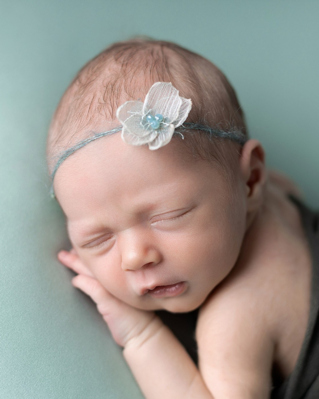 Investment. Family photographer in Bay Area, California