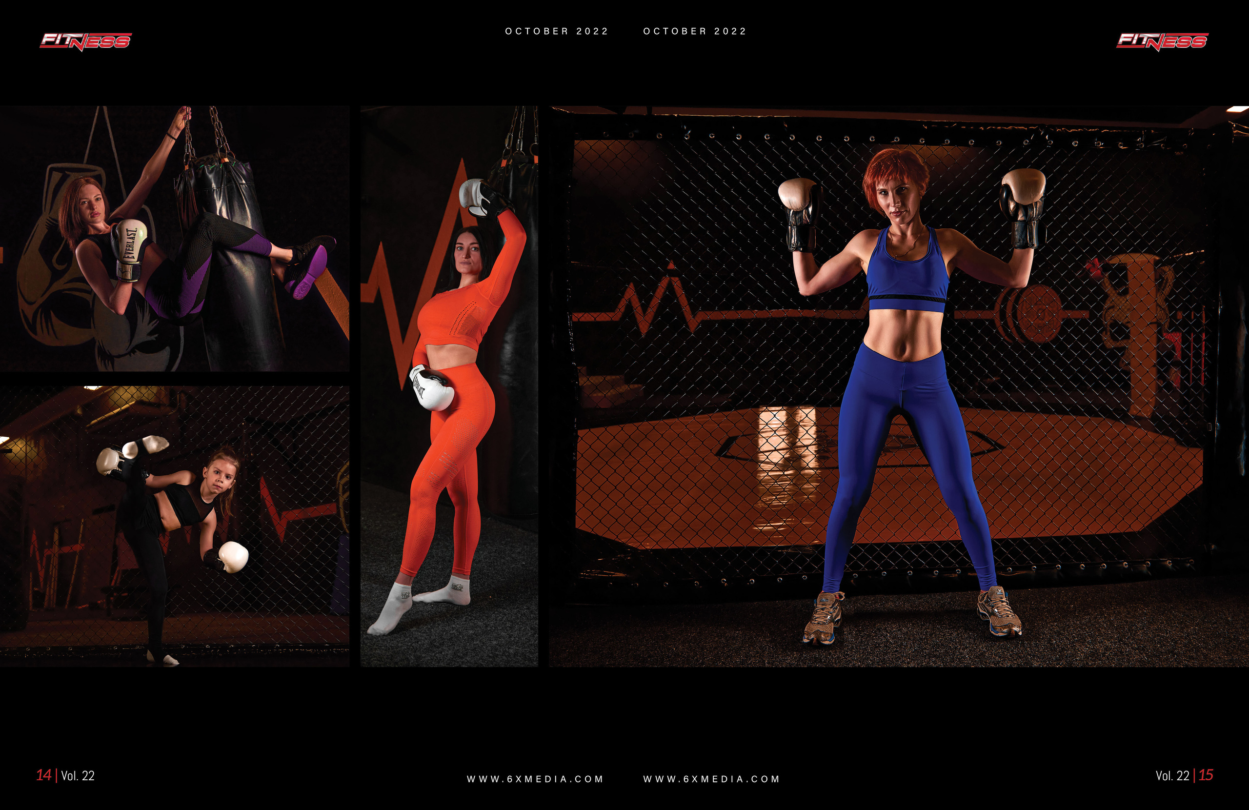 ЗОЖ фитнес, бокс.