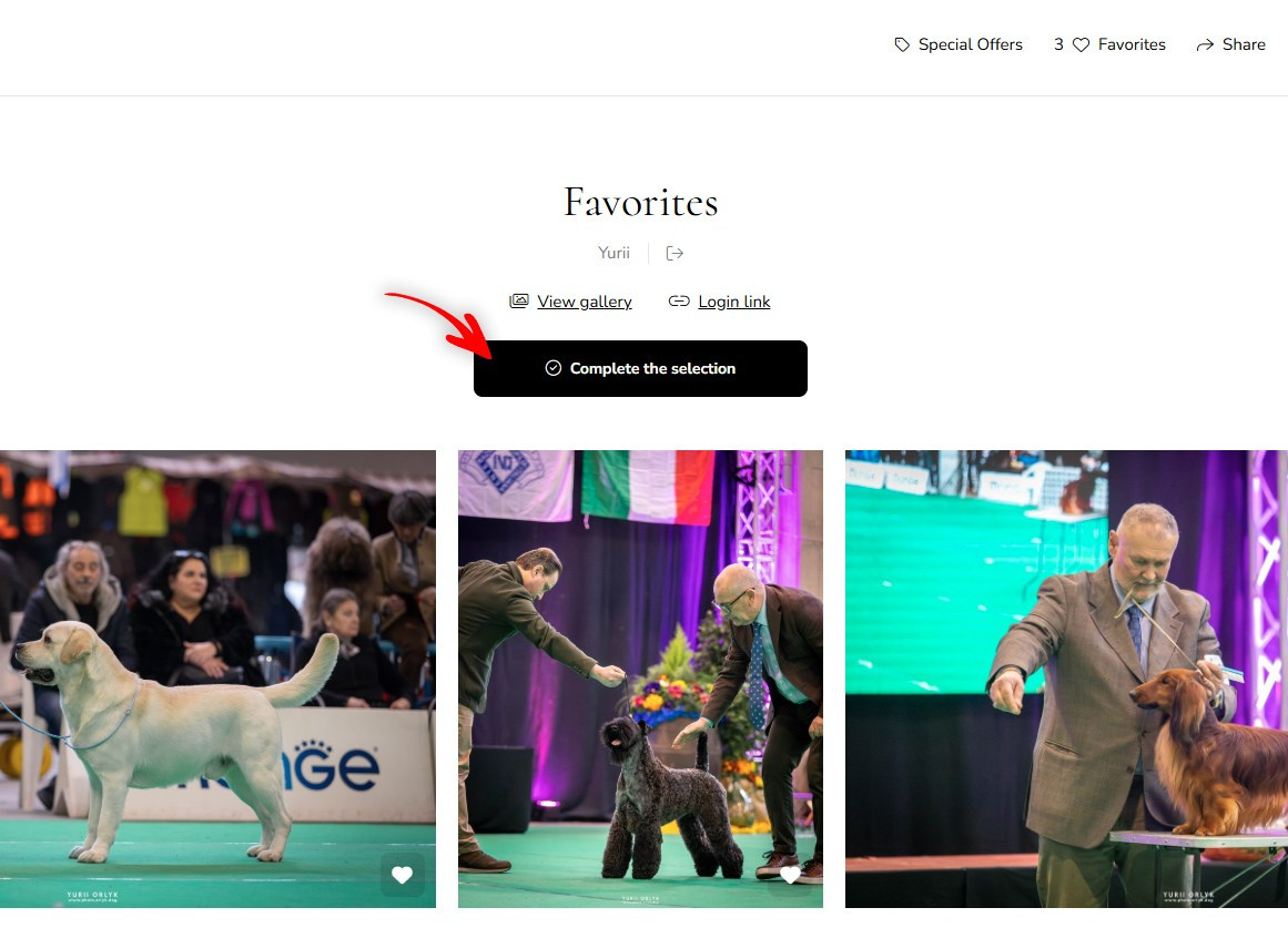 PHOTO ORDER. Yurii Orlyk Photography