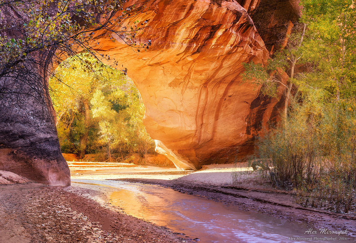 Canyons of Escalante Adventure (original). Alex Mironyuk Photography