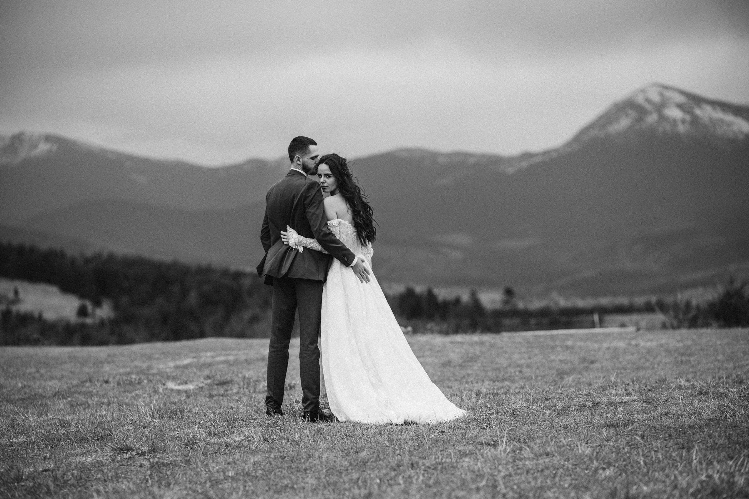 Wedding price 2026. Плотиця Олександр. Весільний та сімейний фотограф