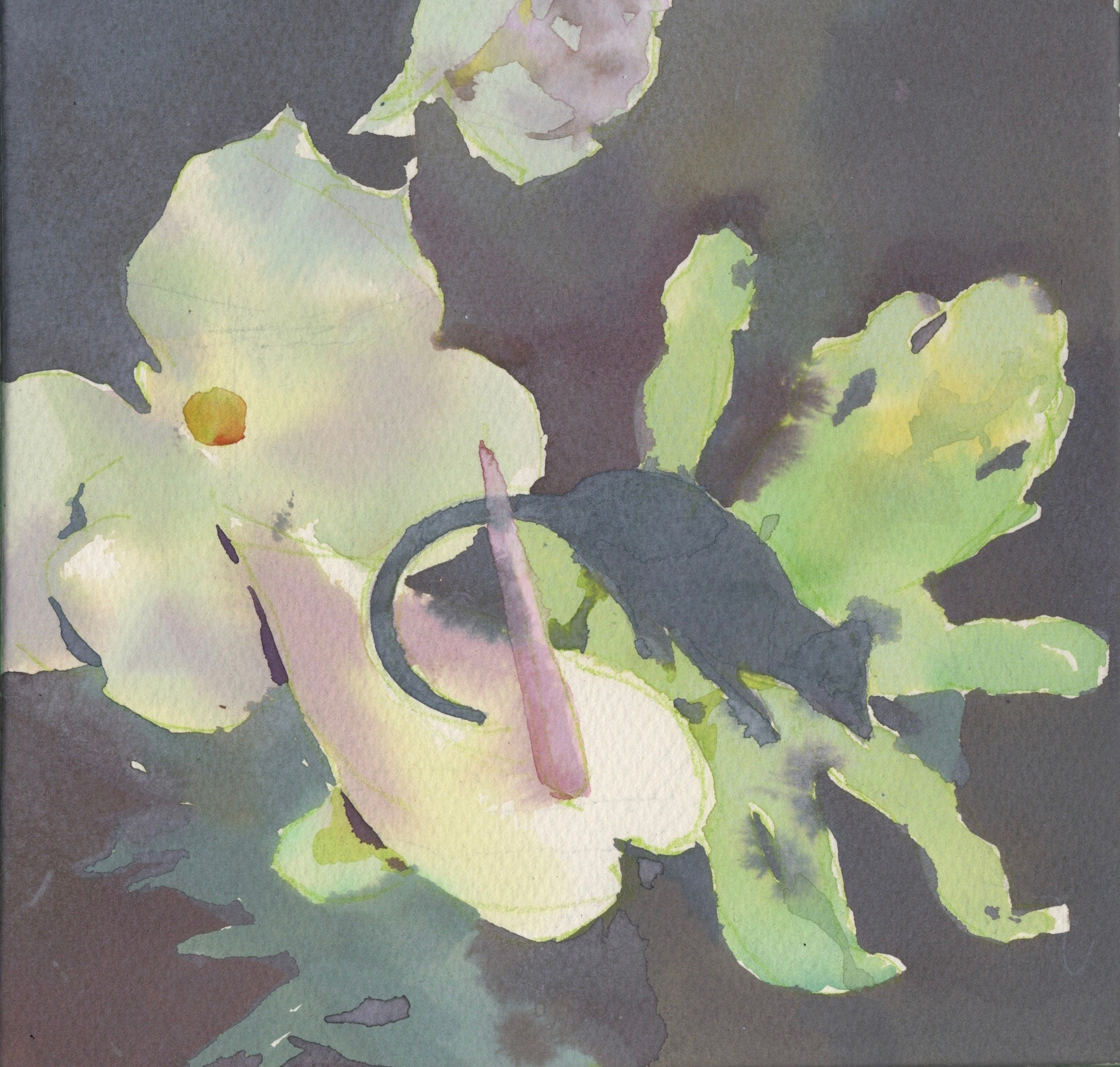 Частный парадайс | 2025. Alina Kugush